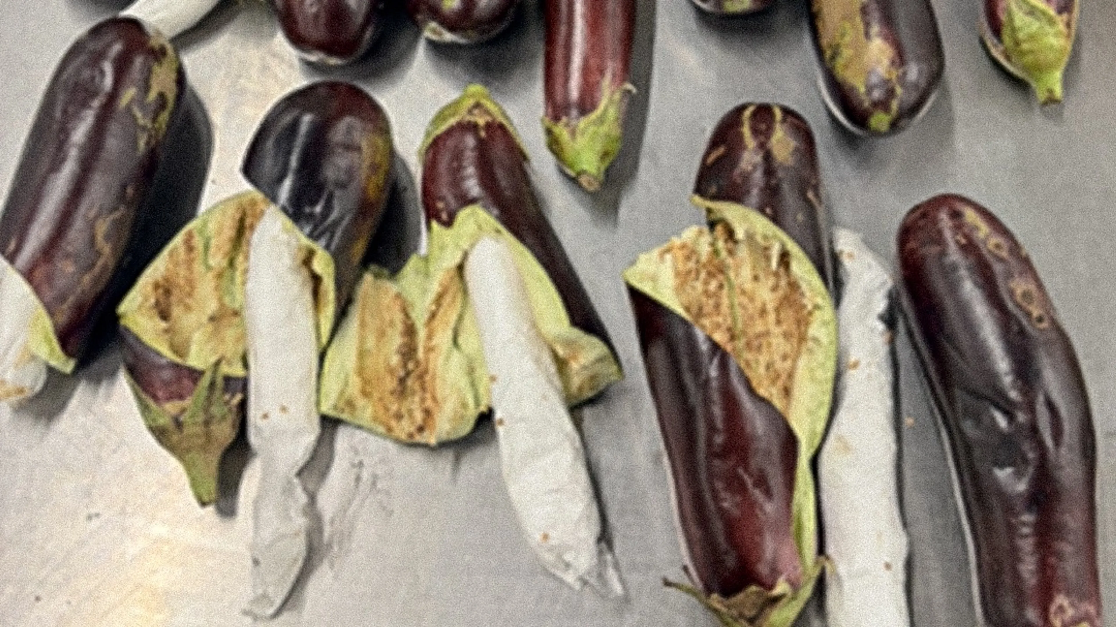 Geen 'witte kerst' voor smokkelaars: douane onderschept aubergines vol cocaïne
