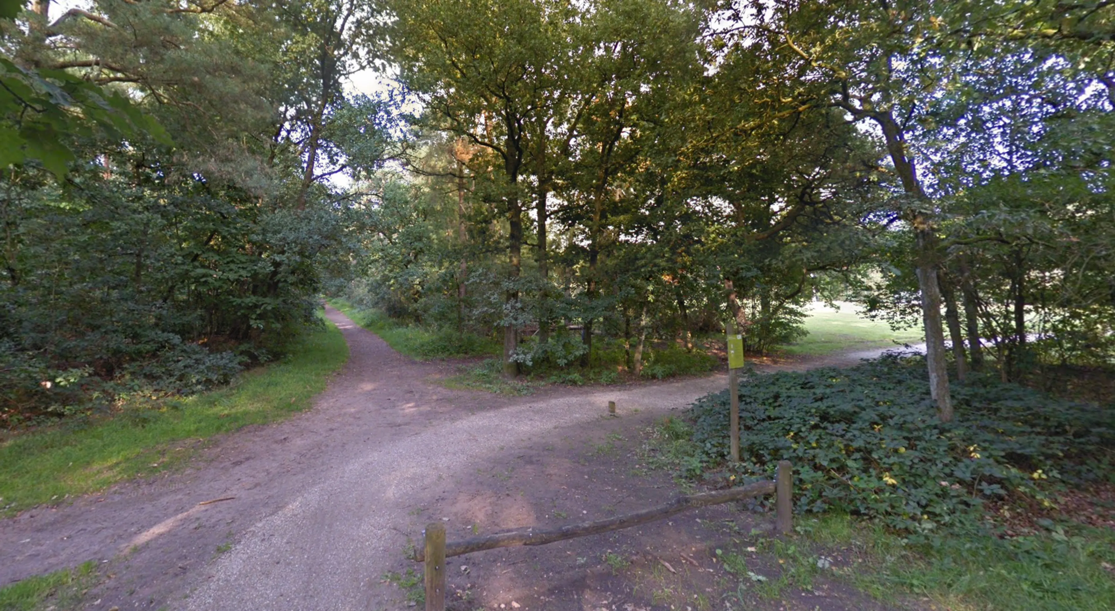 Vrouw slachtoffer van ernstig seksueel misdrijf in bos bij Zeist
