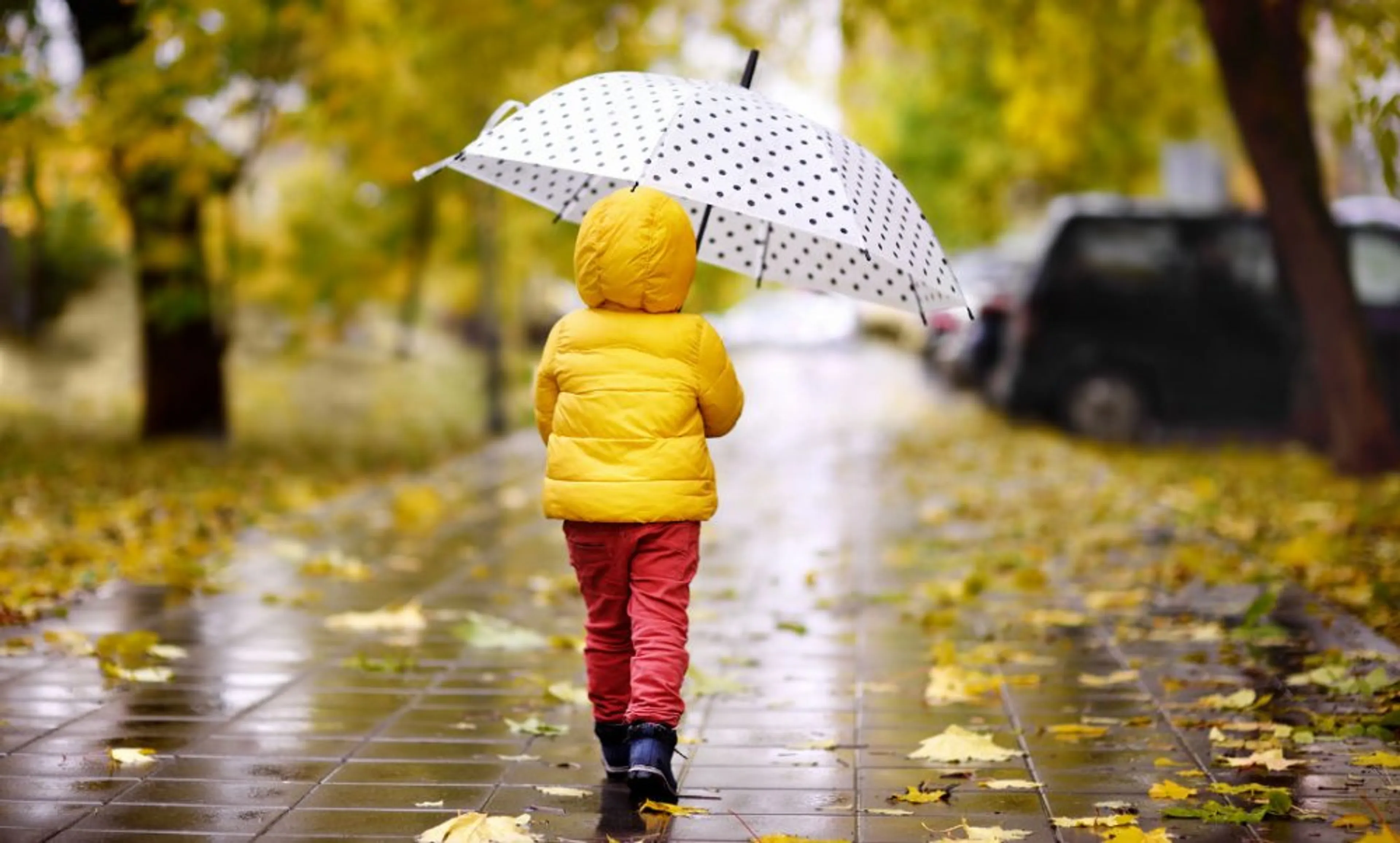 Oktobermaand nat van start: deze week volop herfstweer op komst