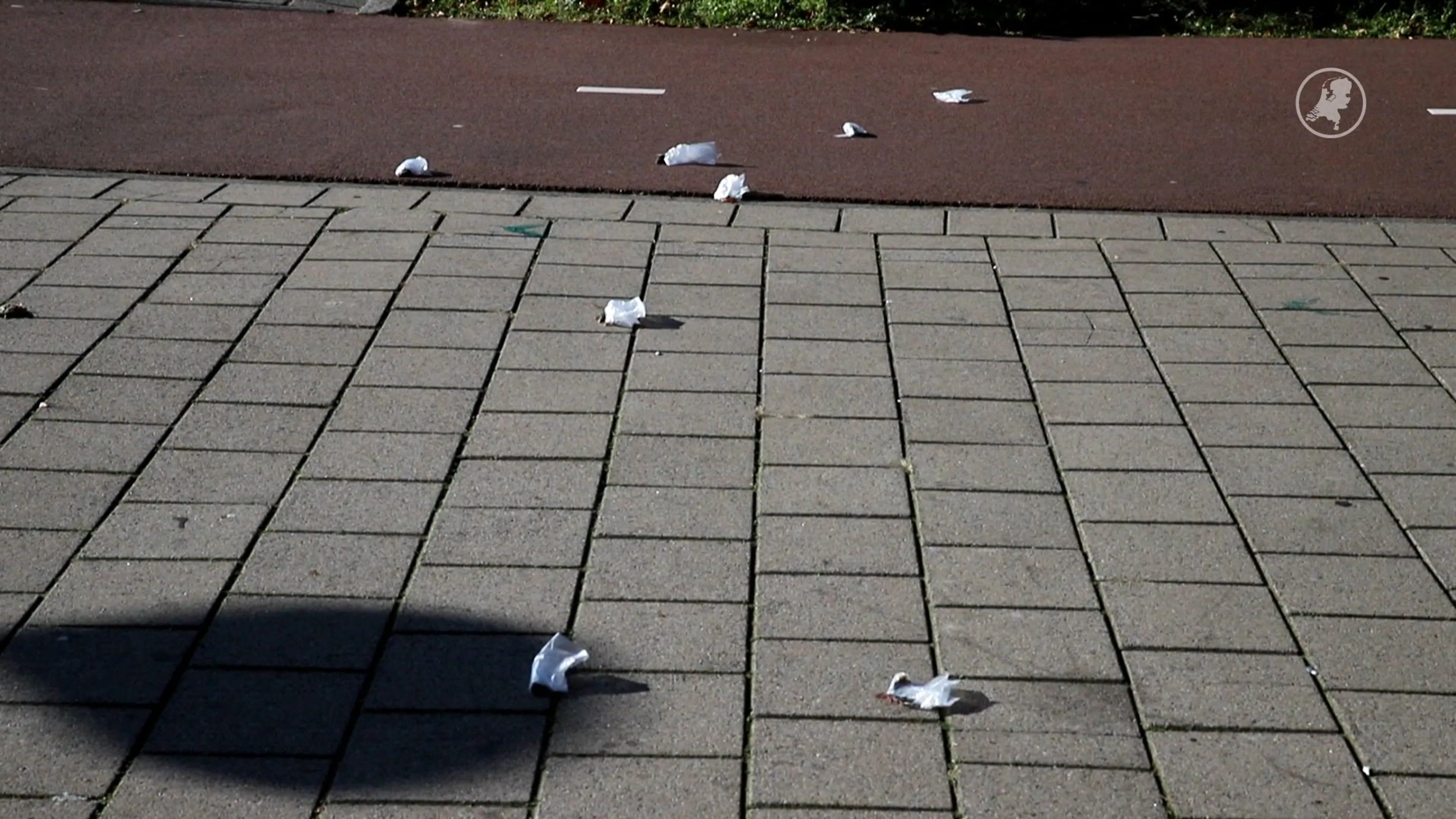 Meerdere muizen vastgeplakt aan straat en fietspad Den Haag