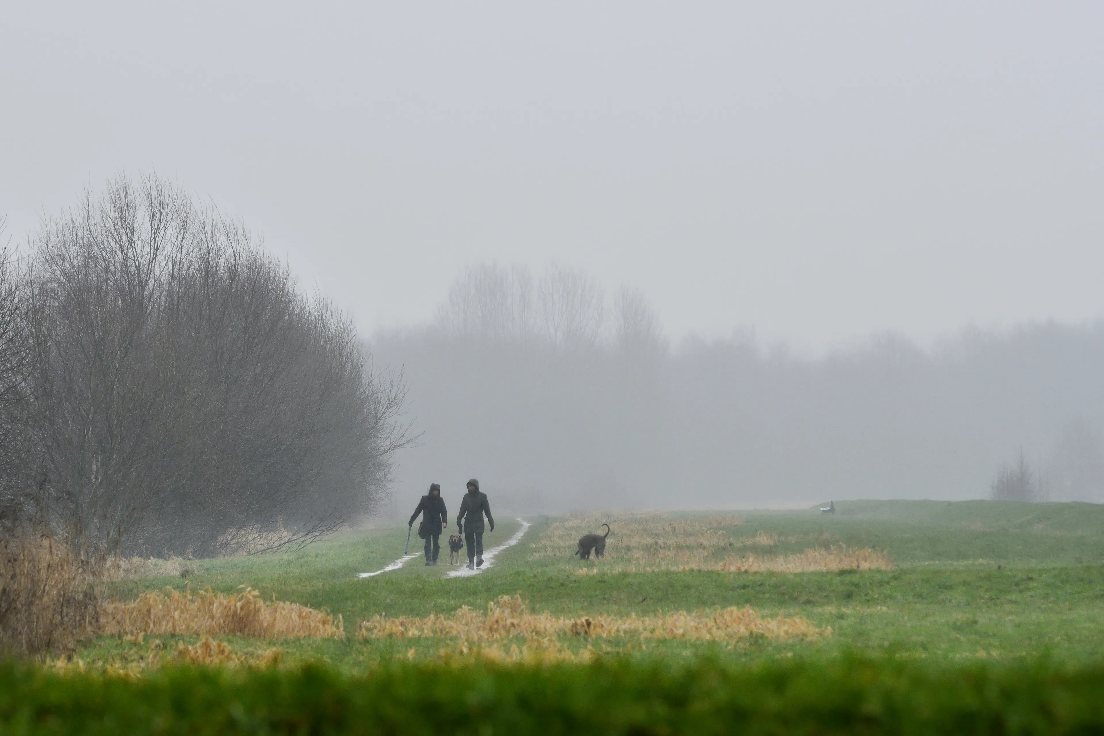 Na warmte keert herfstweer terug: harde wind en regen