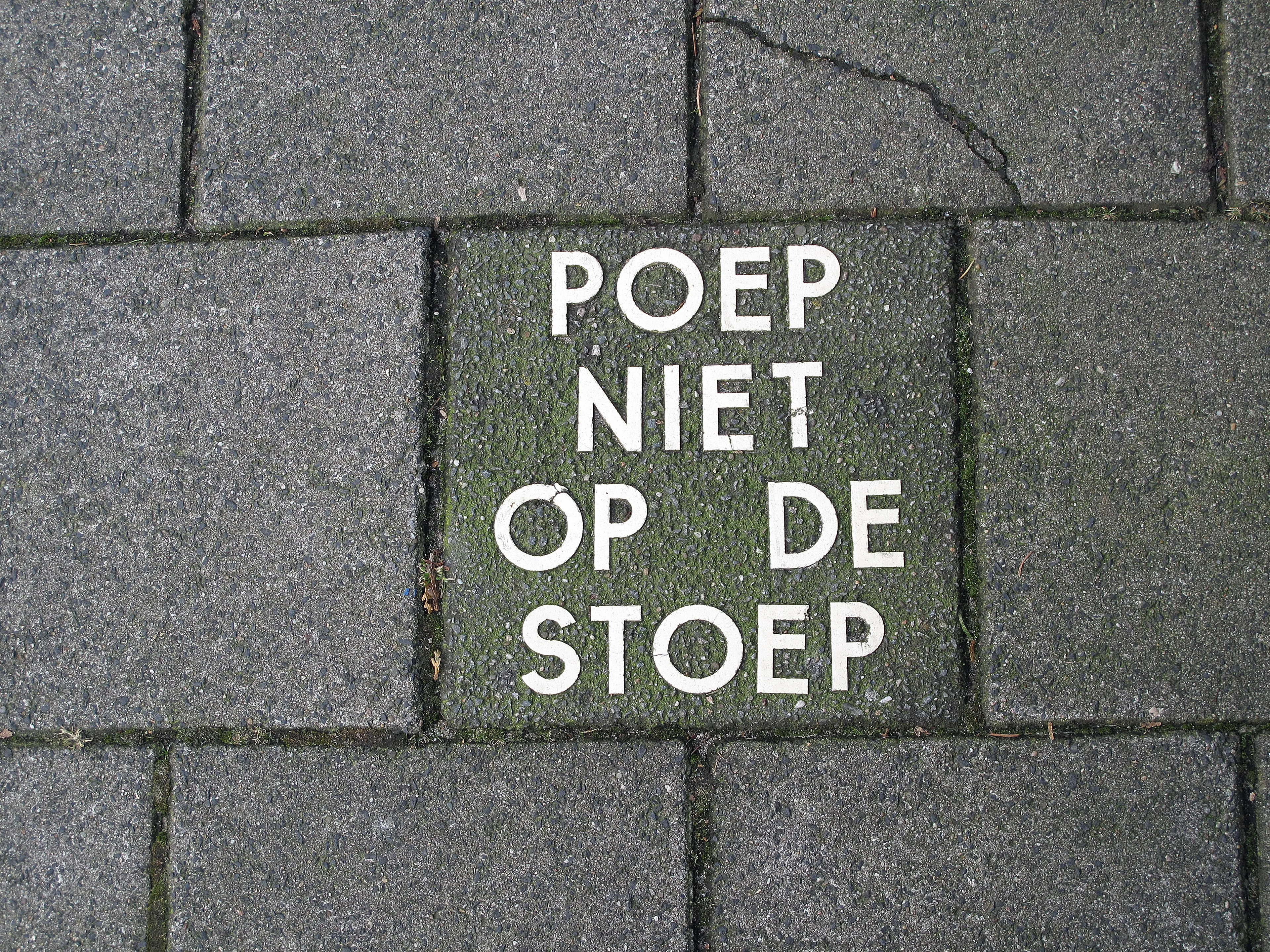 Wildpoeper in Amersfoort dankzij camerabeelden alsnog op de bon geslingerd