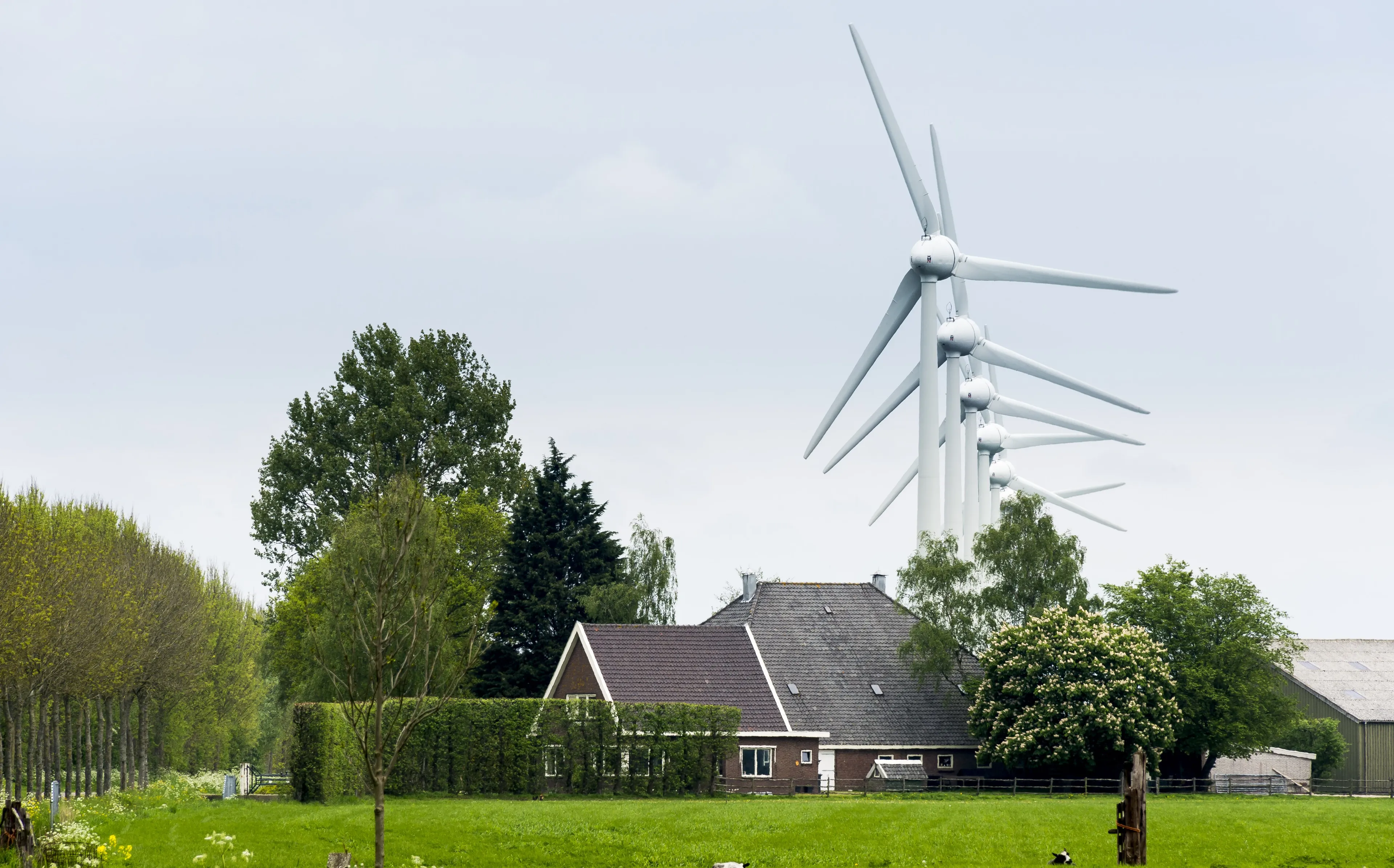 Strengere regels voor windturbines blijven uit door gekibbel in kabinet