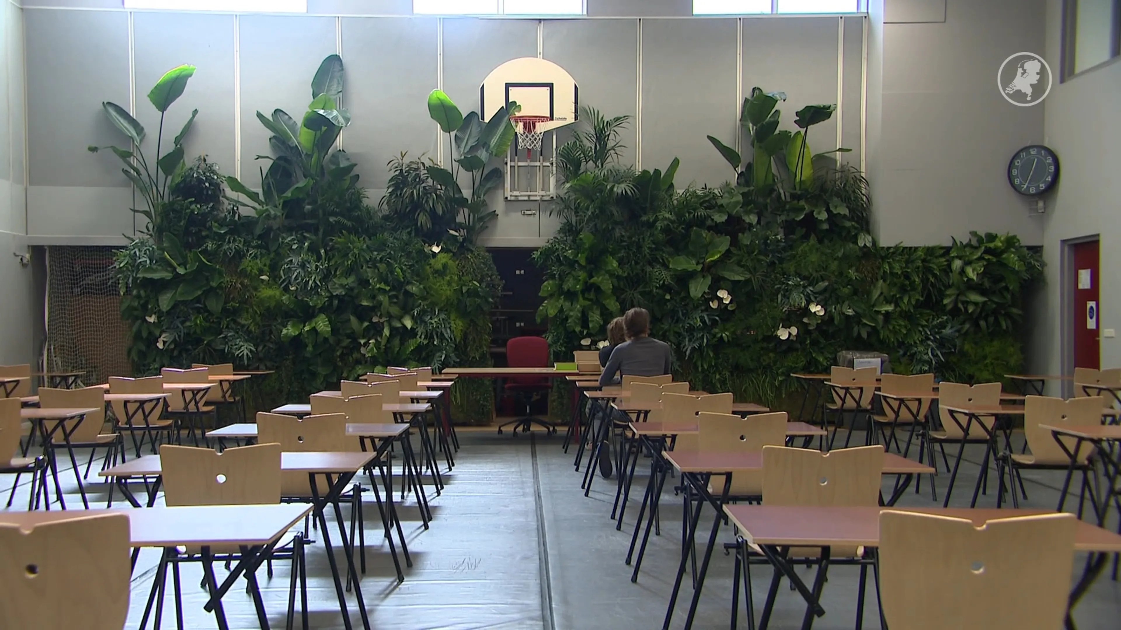 Eindexamens tussen de planten: betere concentratie en minder stress