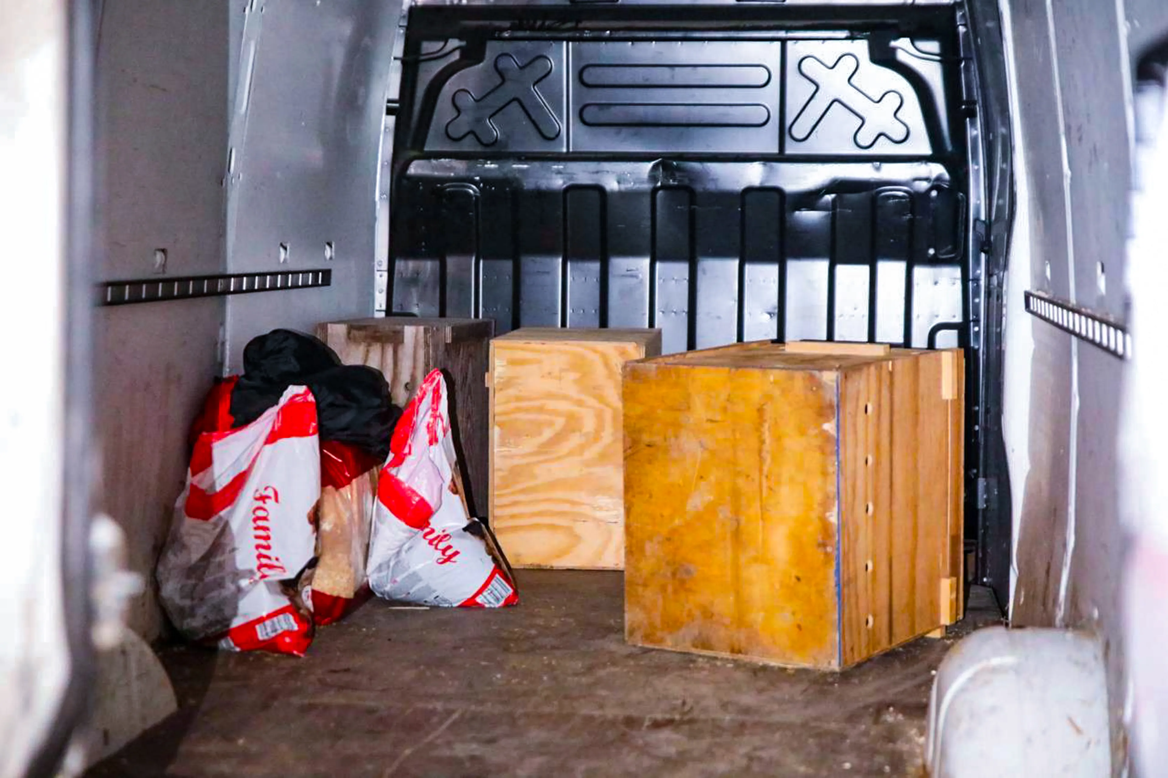 Drie albino-wallaby's gevonden in bestelbus bij Apeldoorn