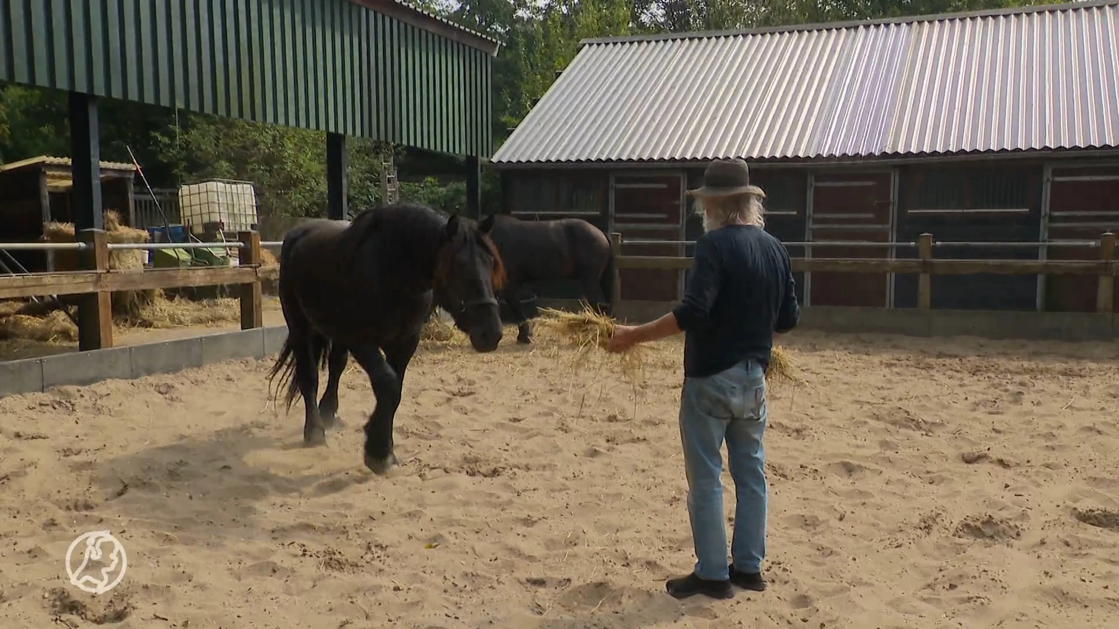 Toon in tranen om afgebrande paardenwagen: 'Groot gemis'