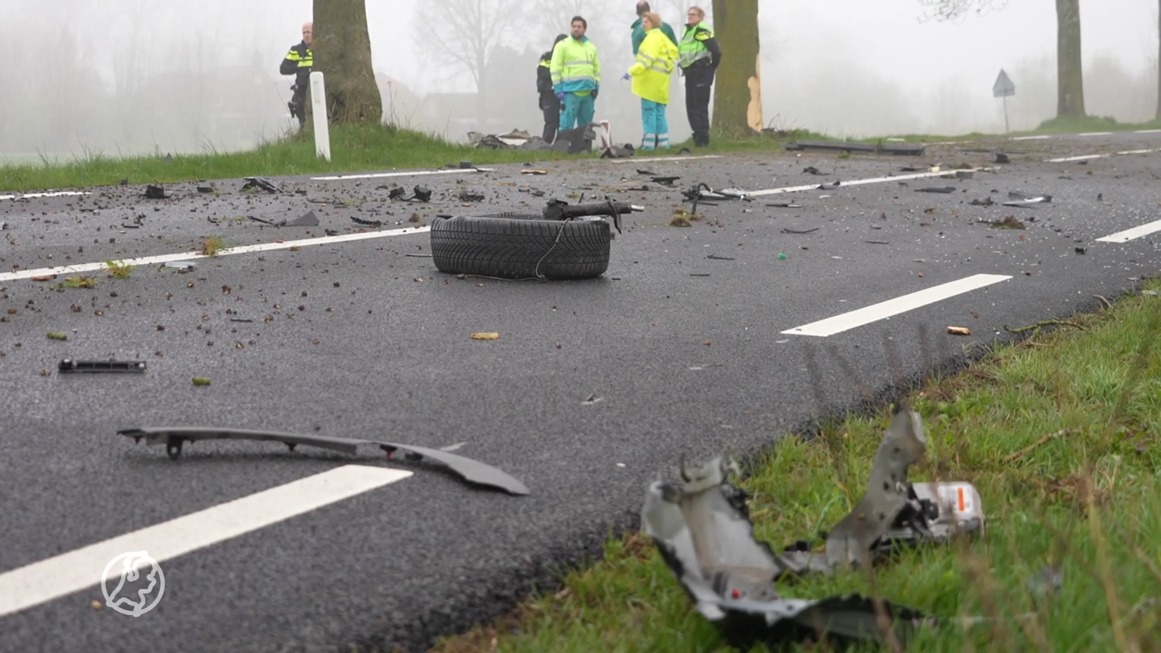 Automobilist om het leven gekomen bij heftige klap op boom