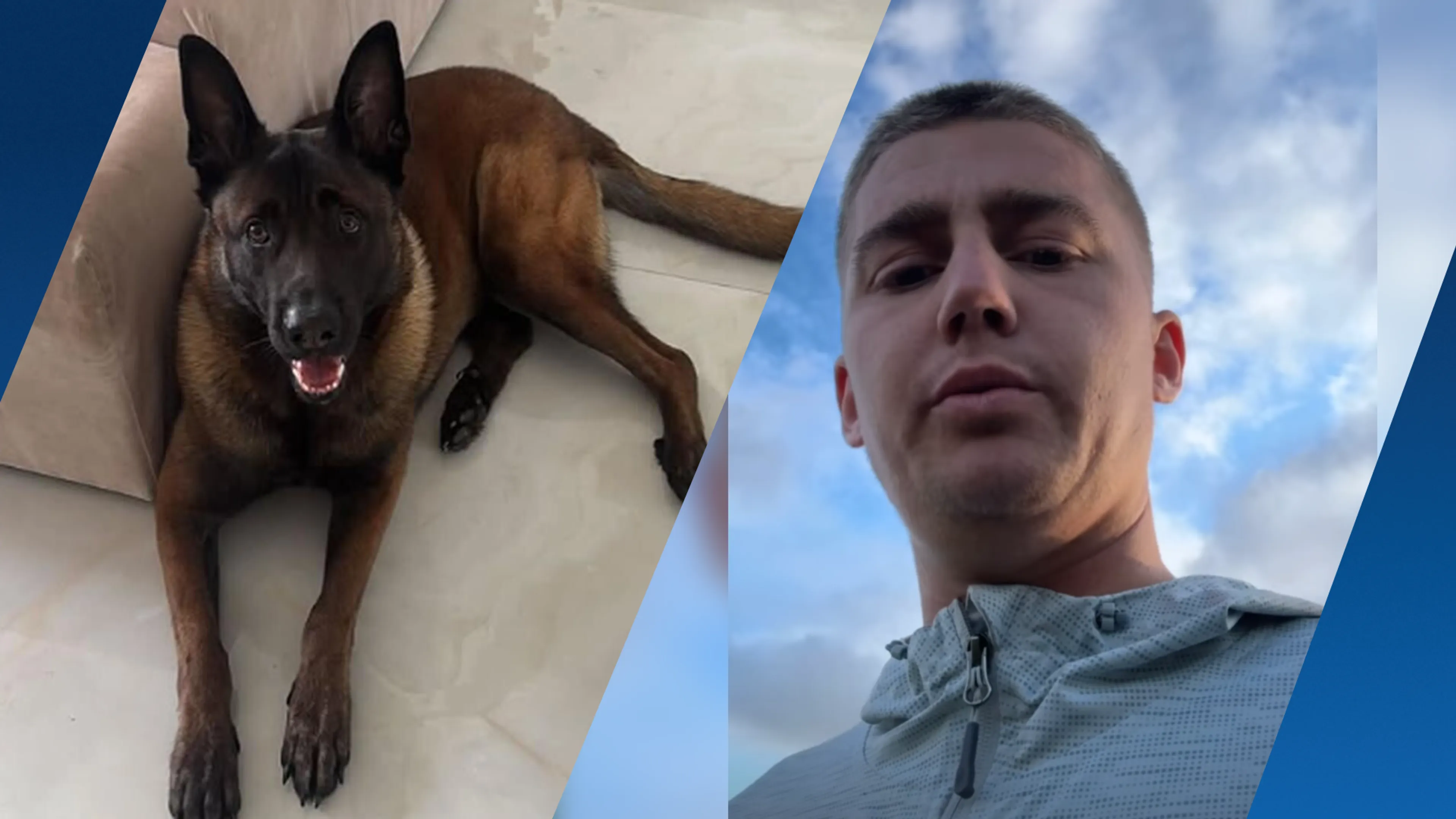 Mart Hoogkamer blijft zoeken naar vermiste hond Ciro: 'Ik lijk wel gek'