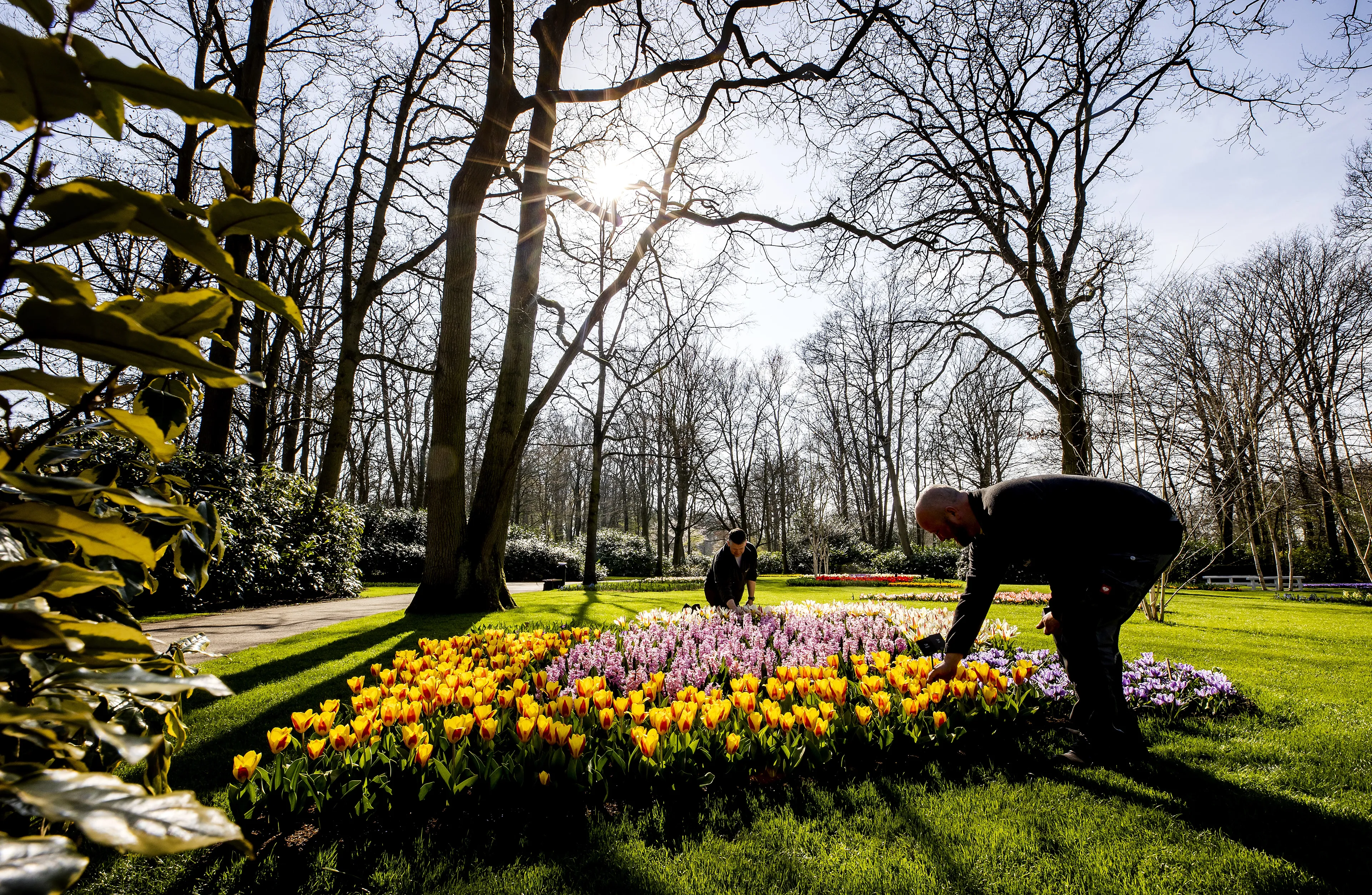 Temperatuur blijft stijgen: warmste 25 februari ooit