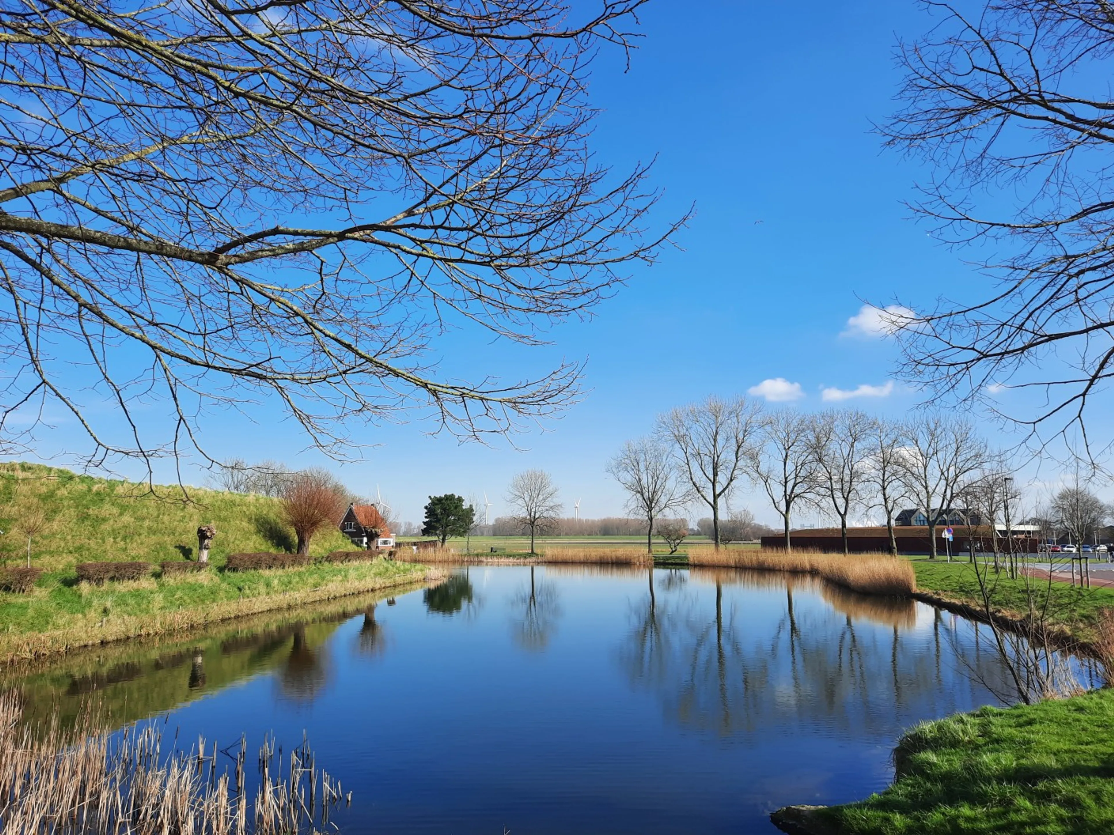 Zon en zachte temperaturen op komst: kwik kan stijgen naar 12 graden