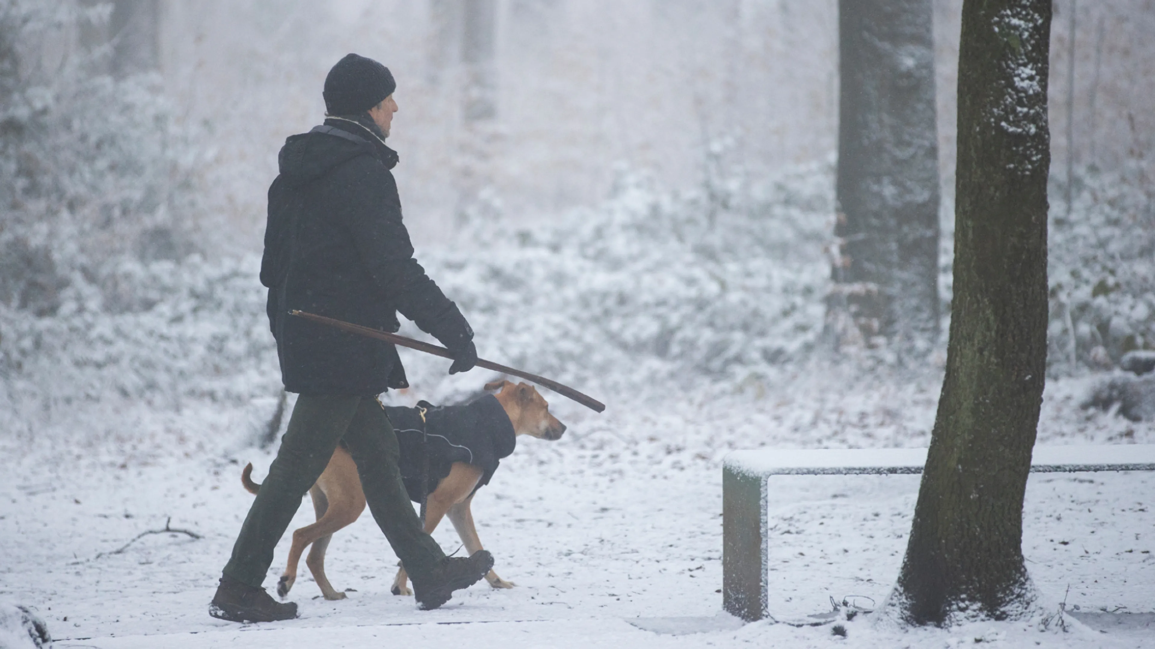 We hebben een paar winterse dagen voor de boeg