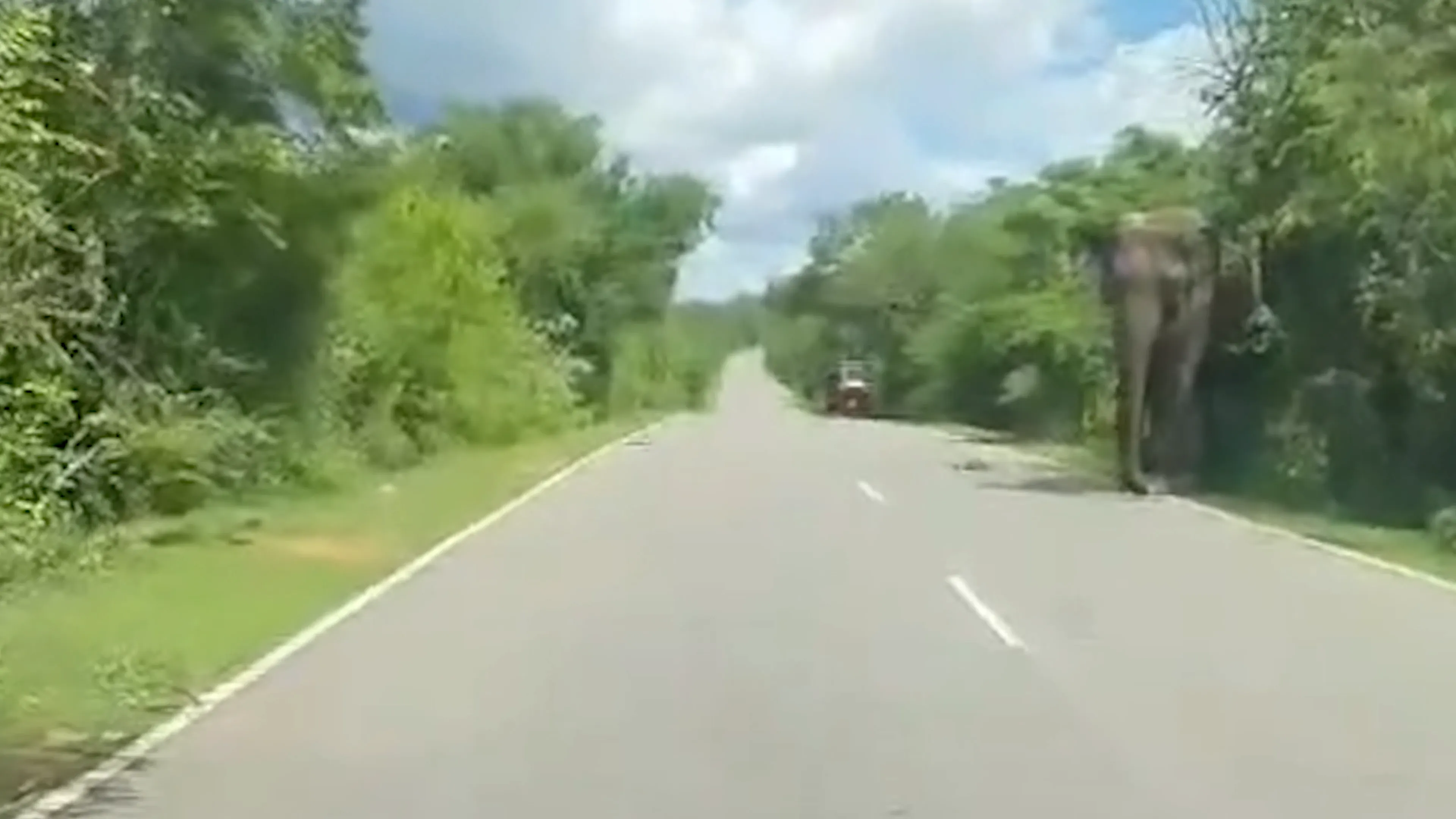 Dat is schrikken: olifant klimt in tuktuk van Nederlanders in Sri Lanka
