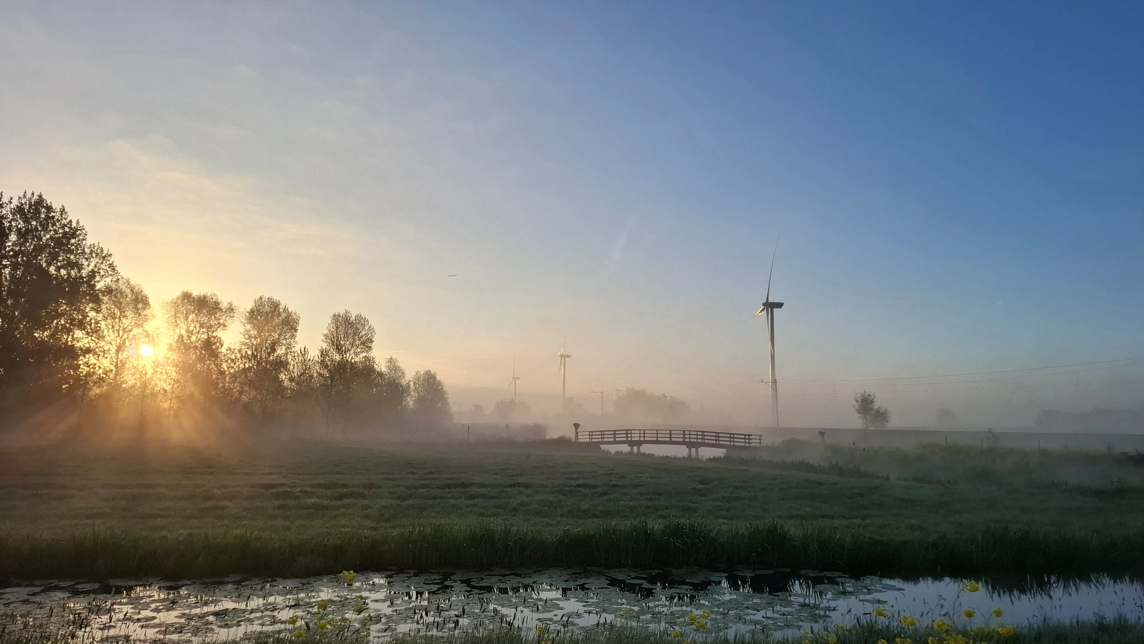 Lenteweer zet door: zon breekt snel door na grijze start