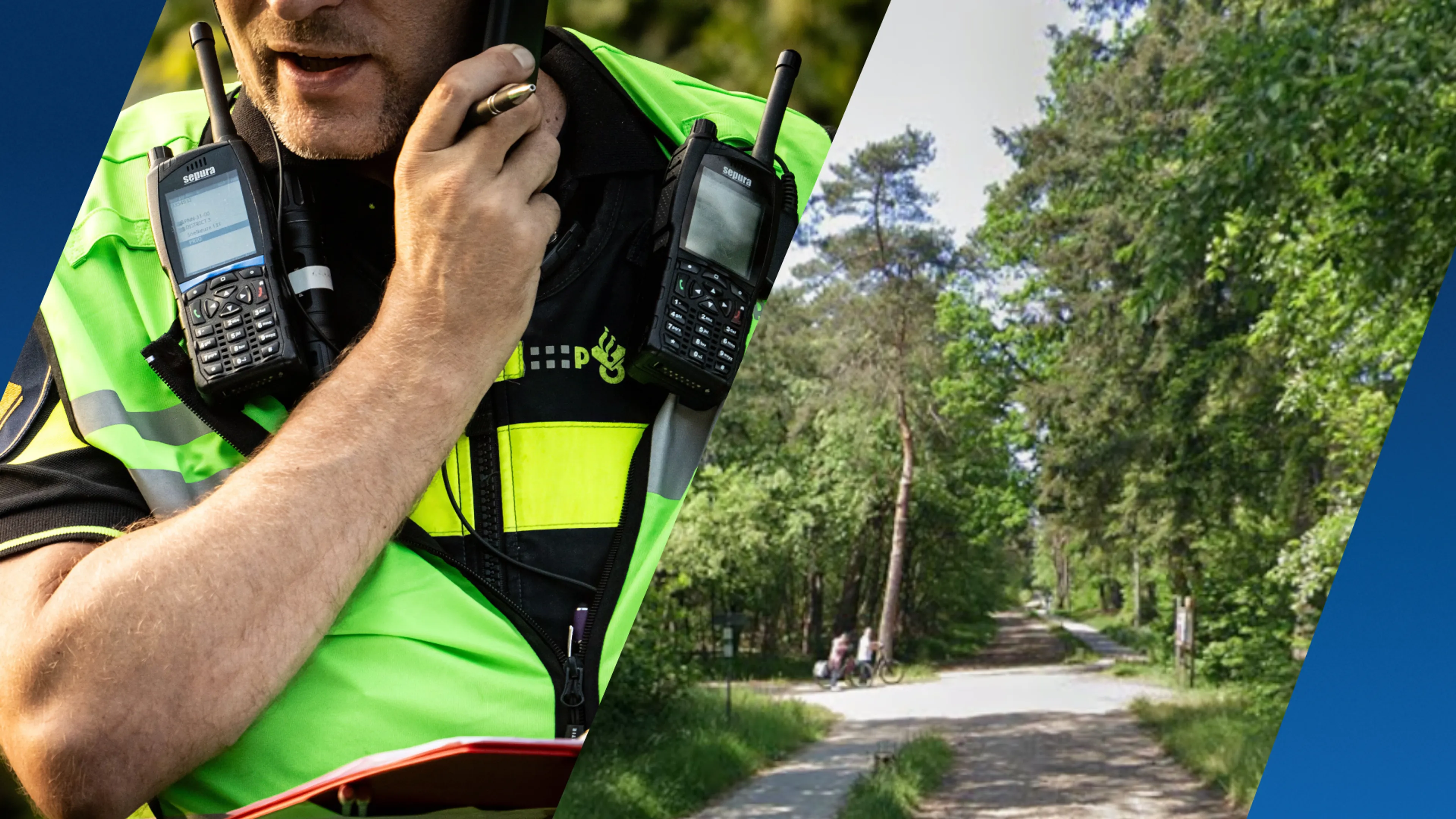 Vrouw die hond uitlaat slachtoffer van zedendelict in Holten