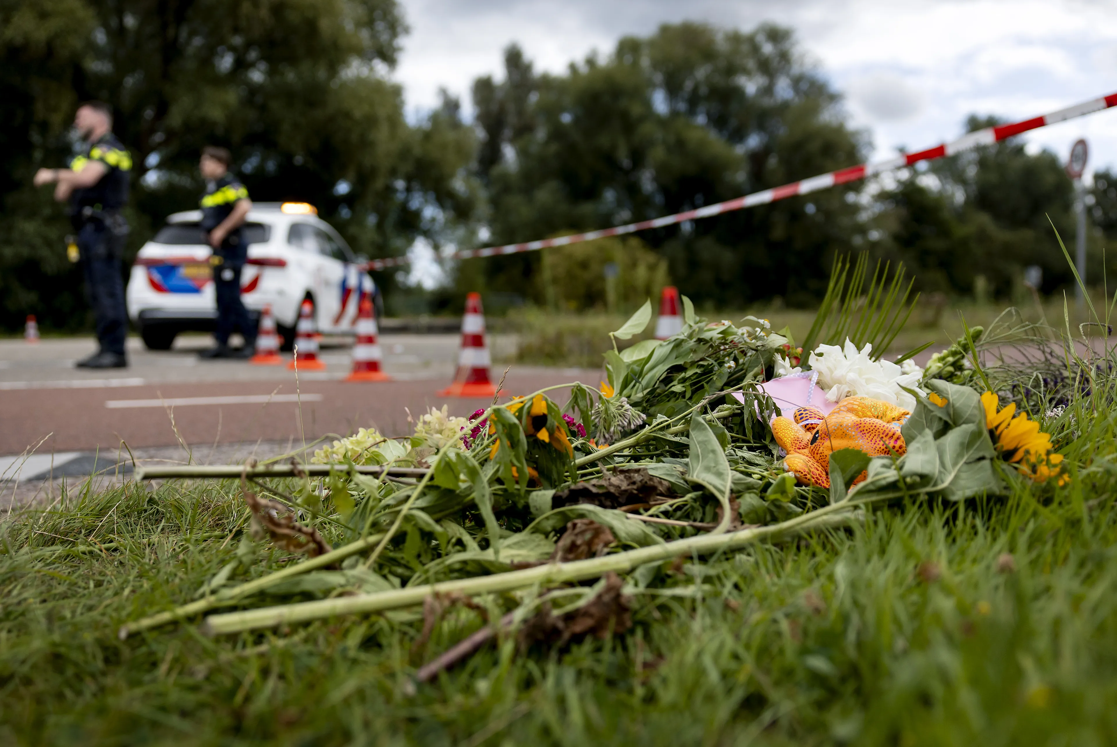 Onterechte inzage dossier vermoorde Lisa raakt familie diep: 'Heel pijnlijk'