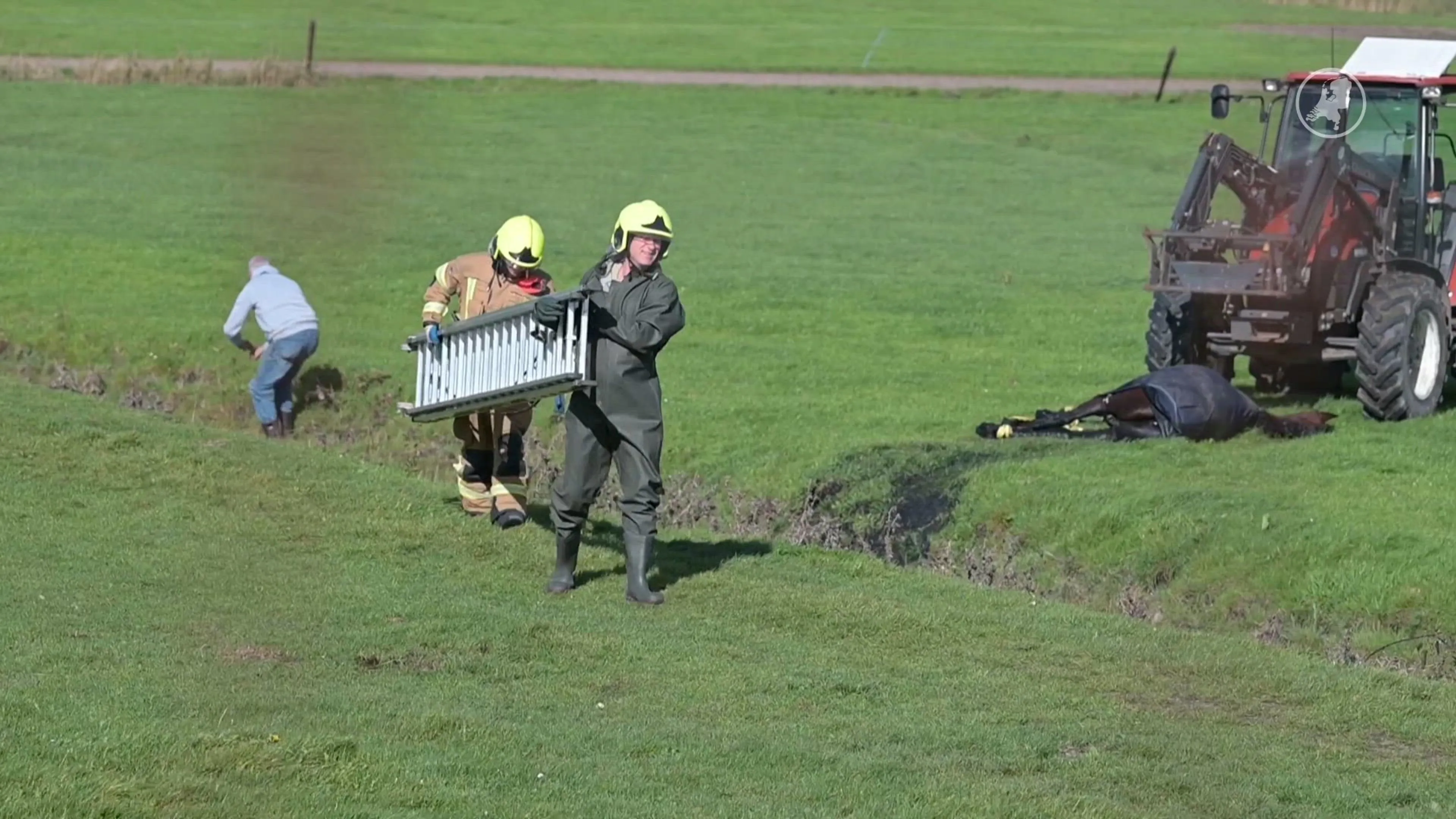 Paard overleden na val in sloot