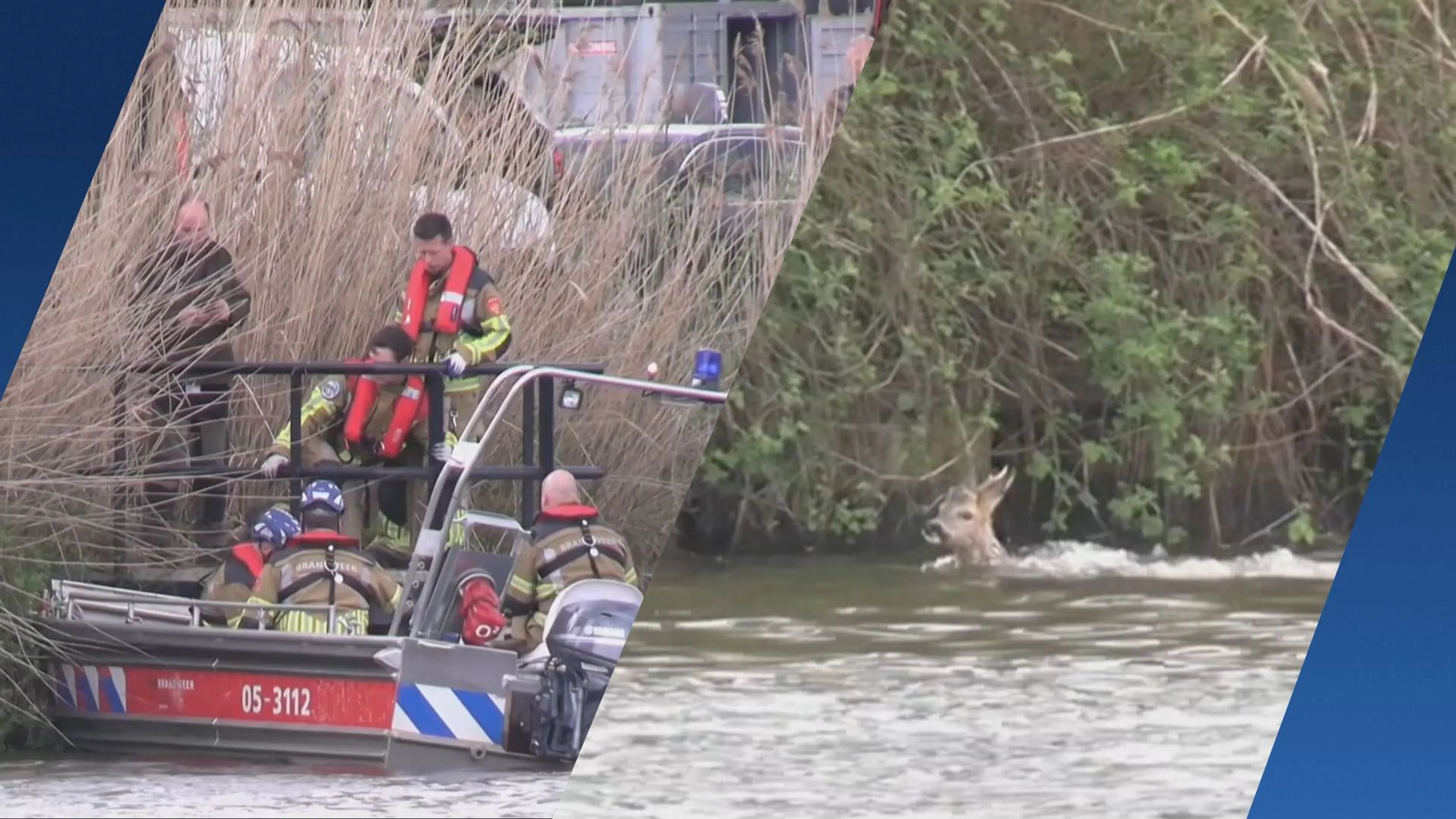 Brandweer redt ree uit Twentekanaal bij Hengelo 