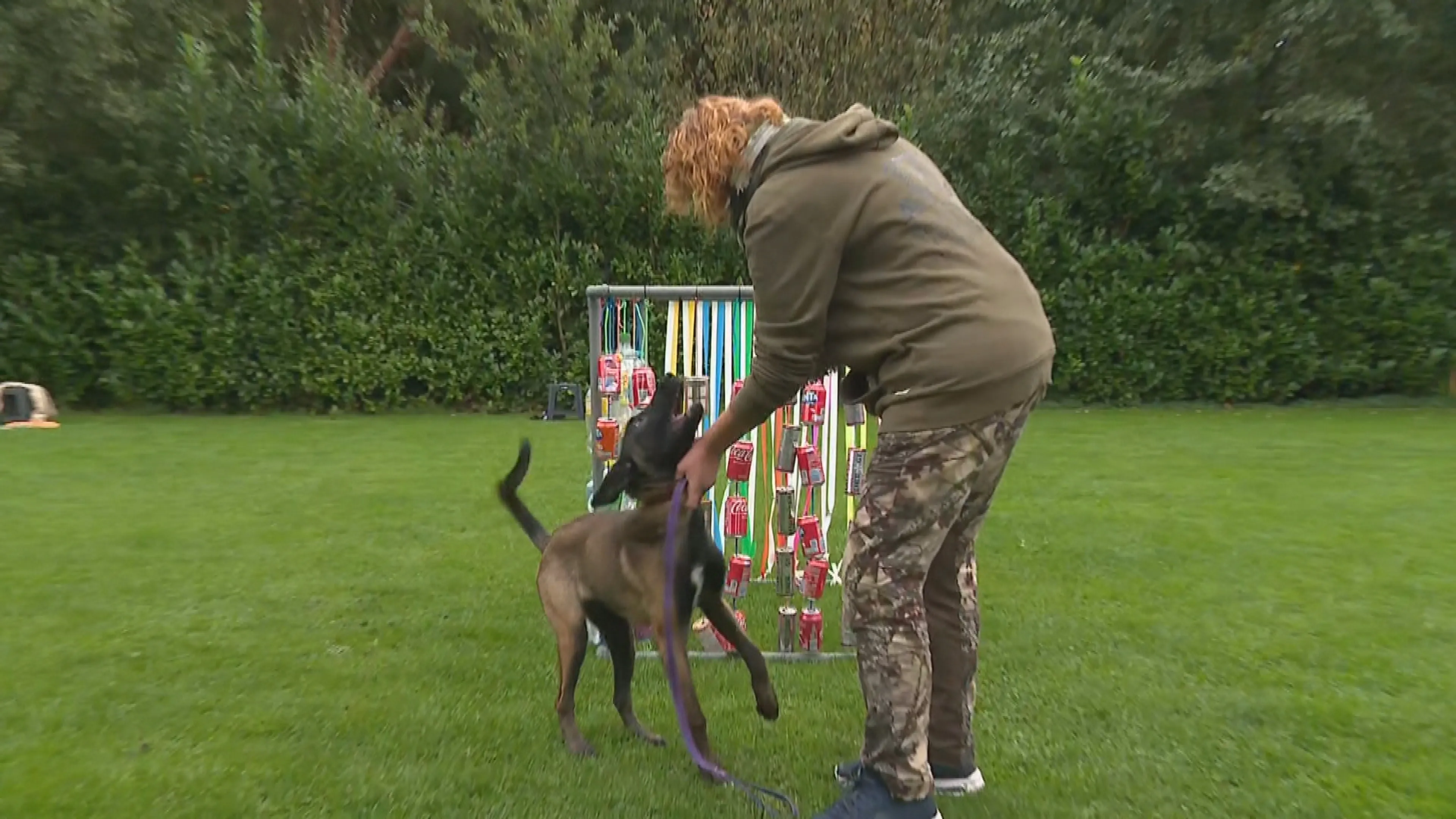 Dit moet je doen als een hond agressief wordt: 'Haal 'm uit balans'