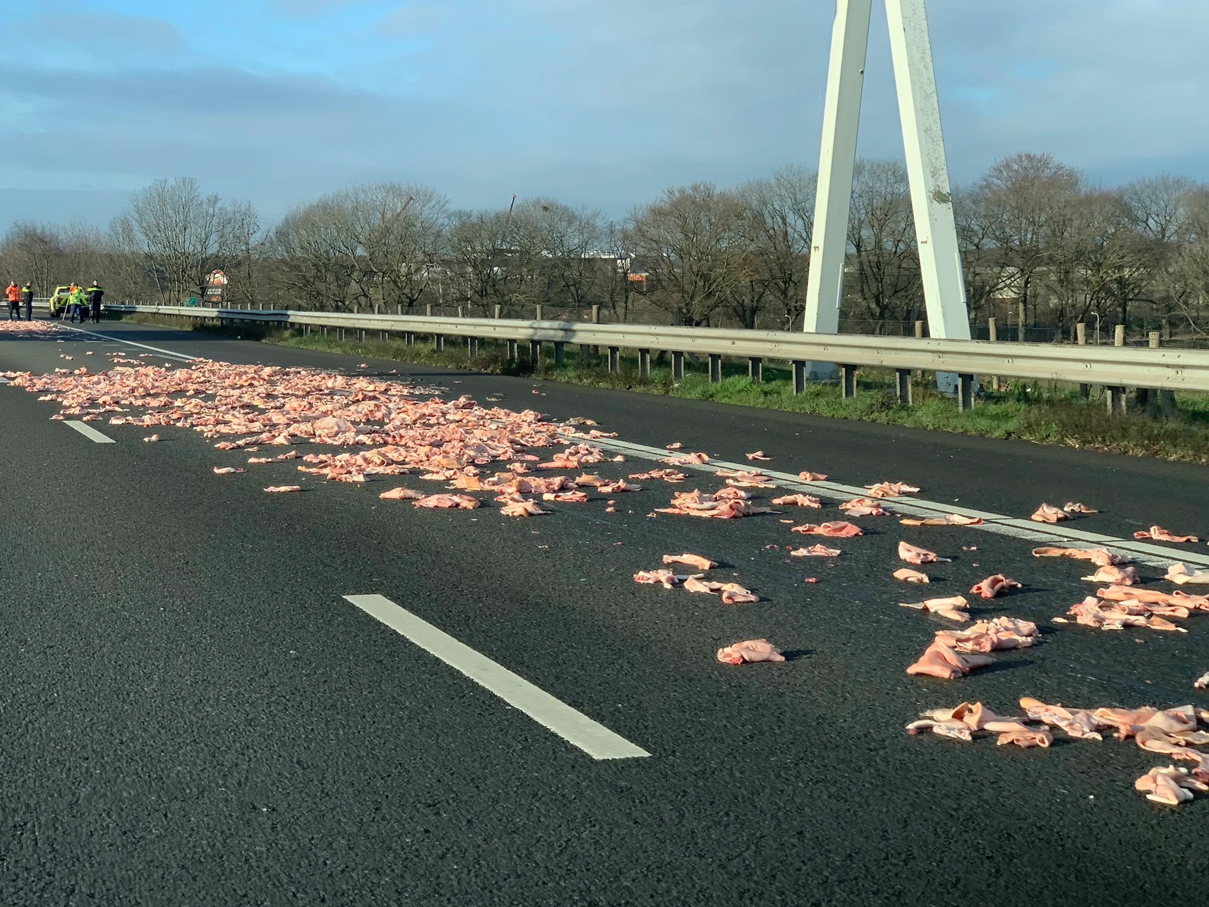 A67 bezaaid met varkenshuiden nadat vrachtwagen lading verliest