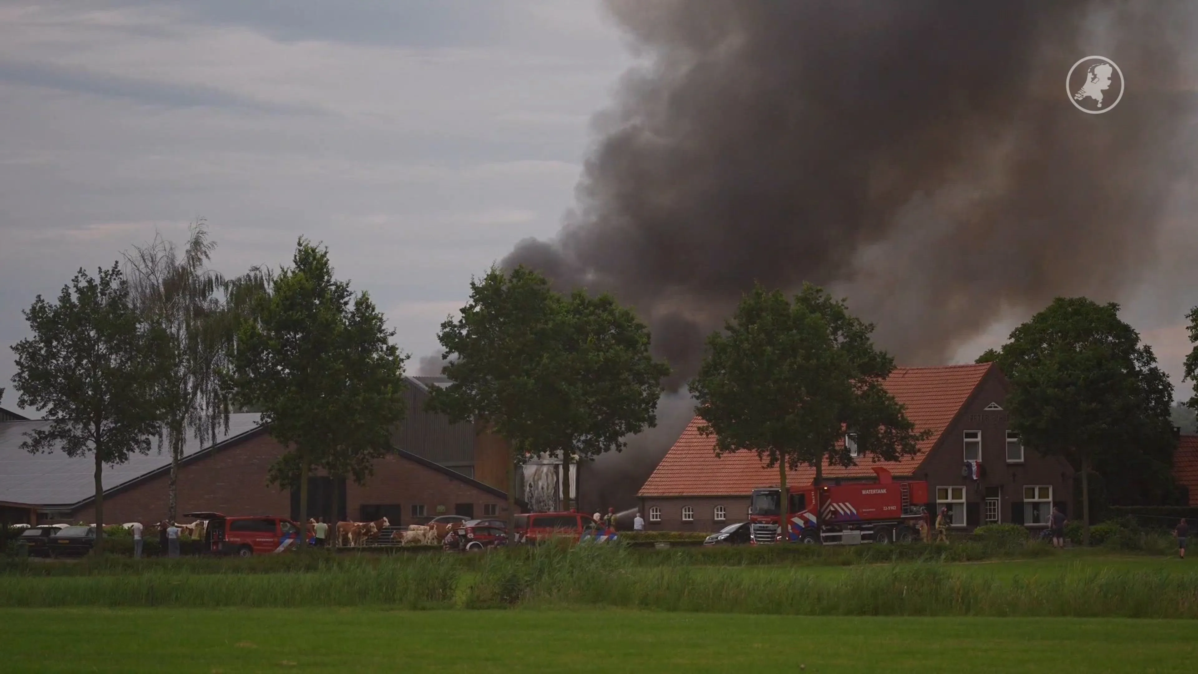 Grote stalbrand in Mariahout, meerdere koeien uitgebroken