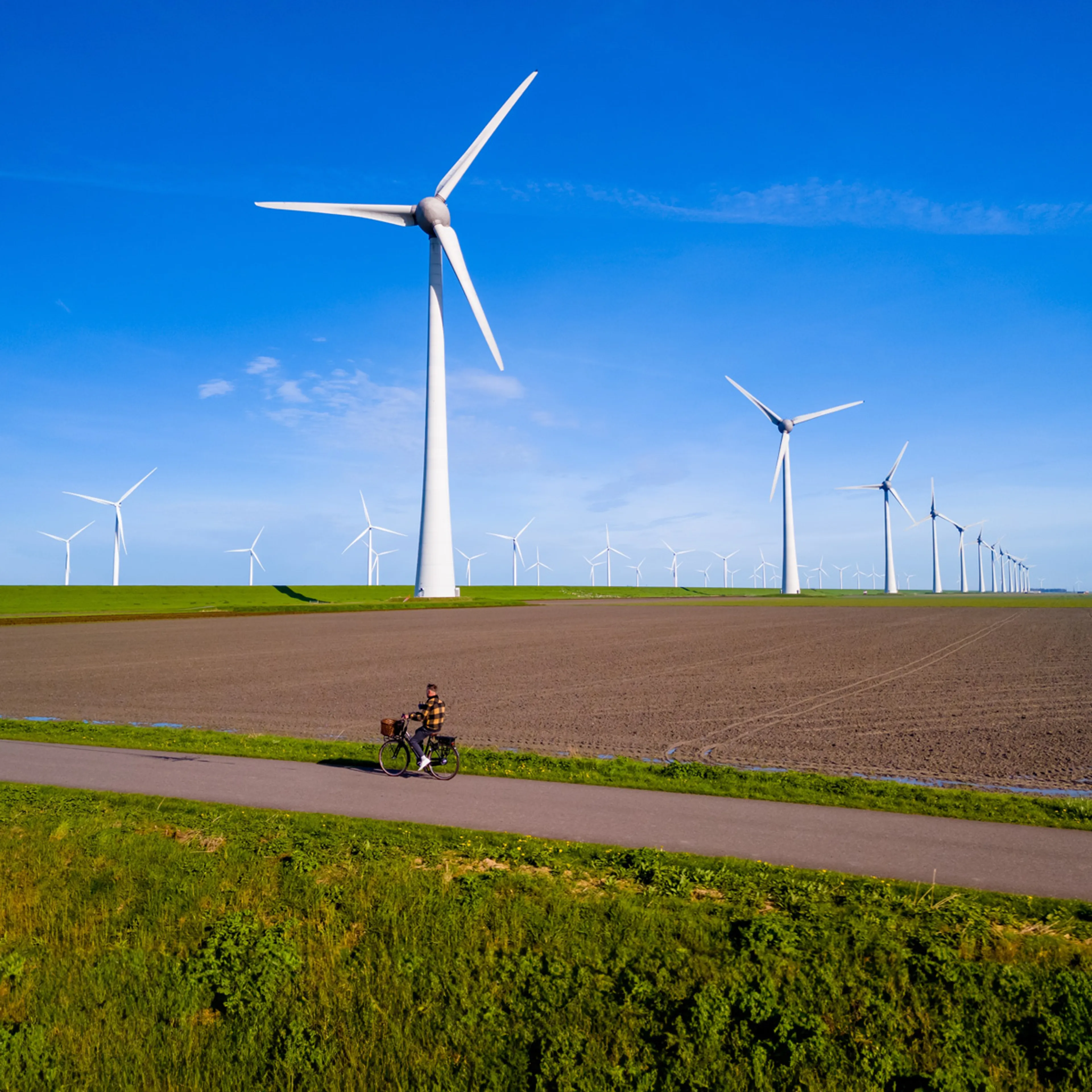 Flevoland