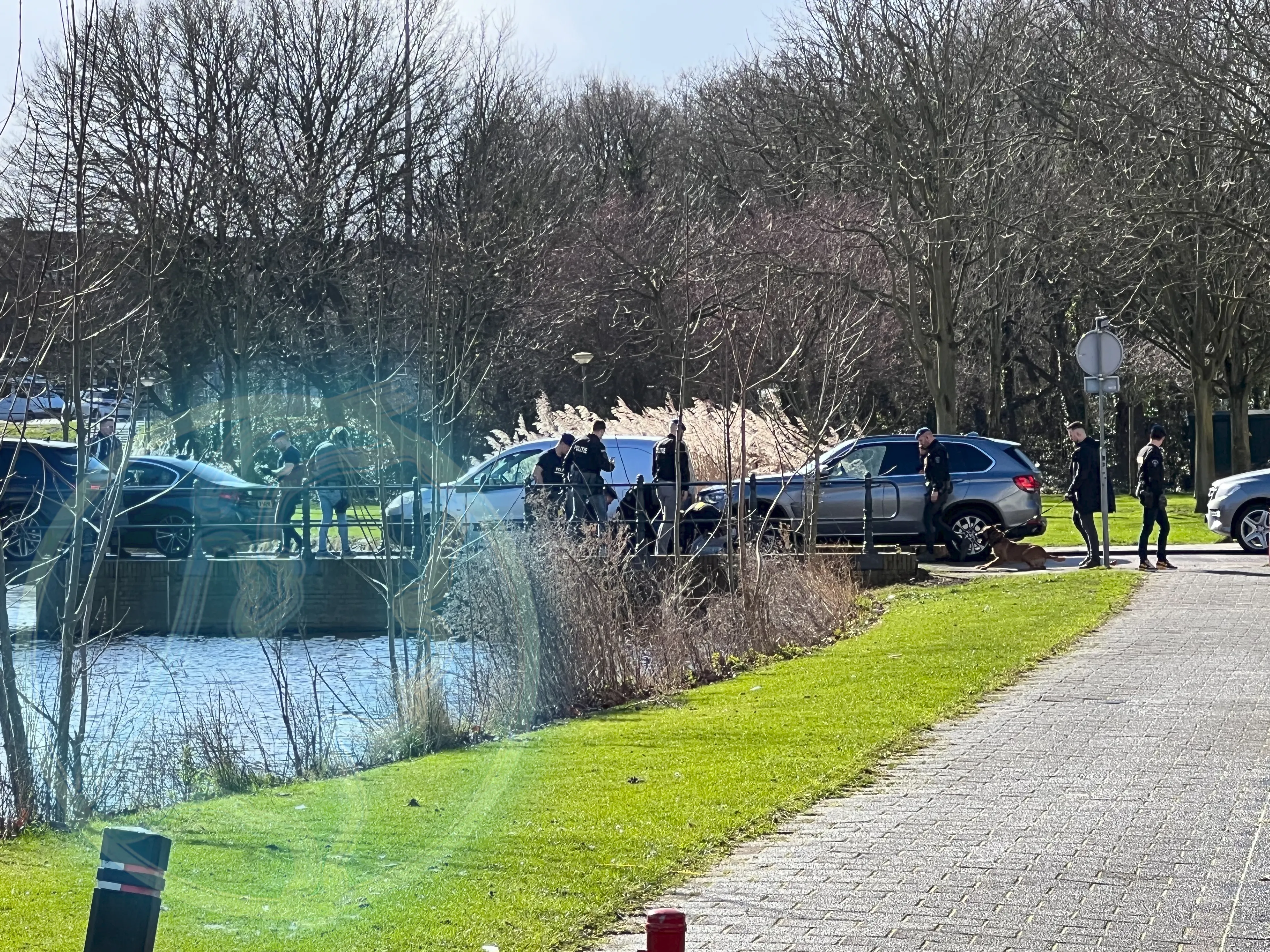 Reconstructie: zo werd Lucky zaterdag in Schiedam gearresteerd