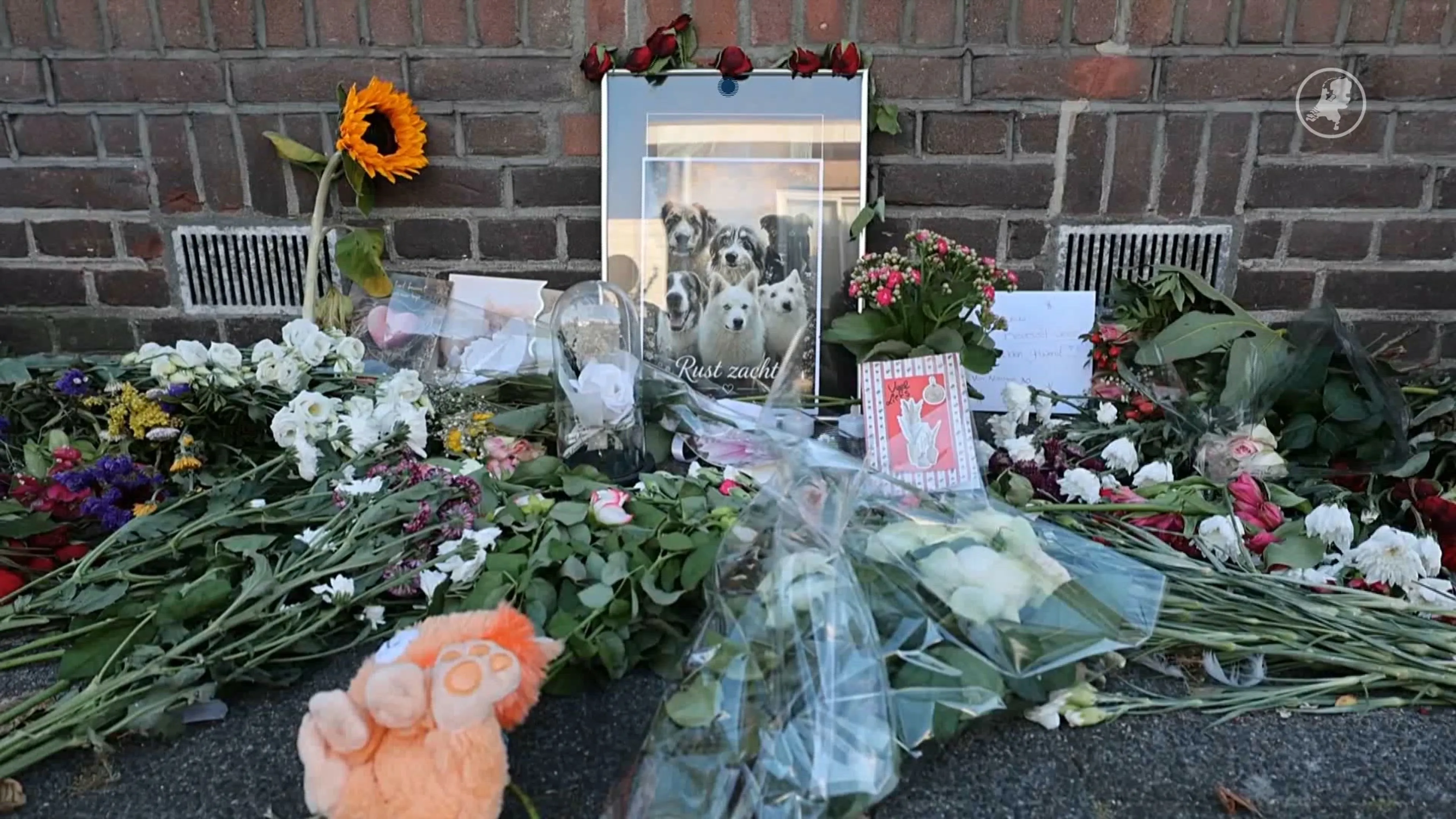 Bloemenzee bij woning Den Haag na brand waar zes honden bij omkwamen
