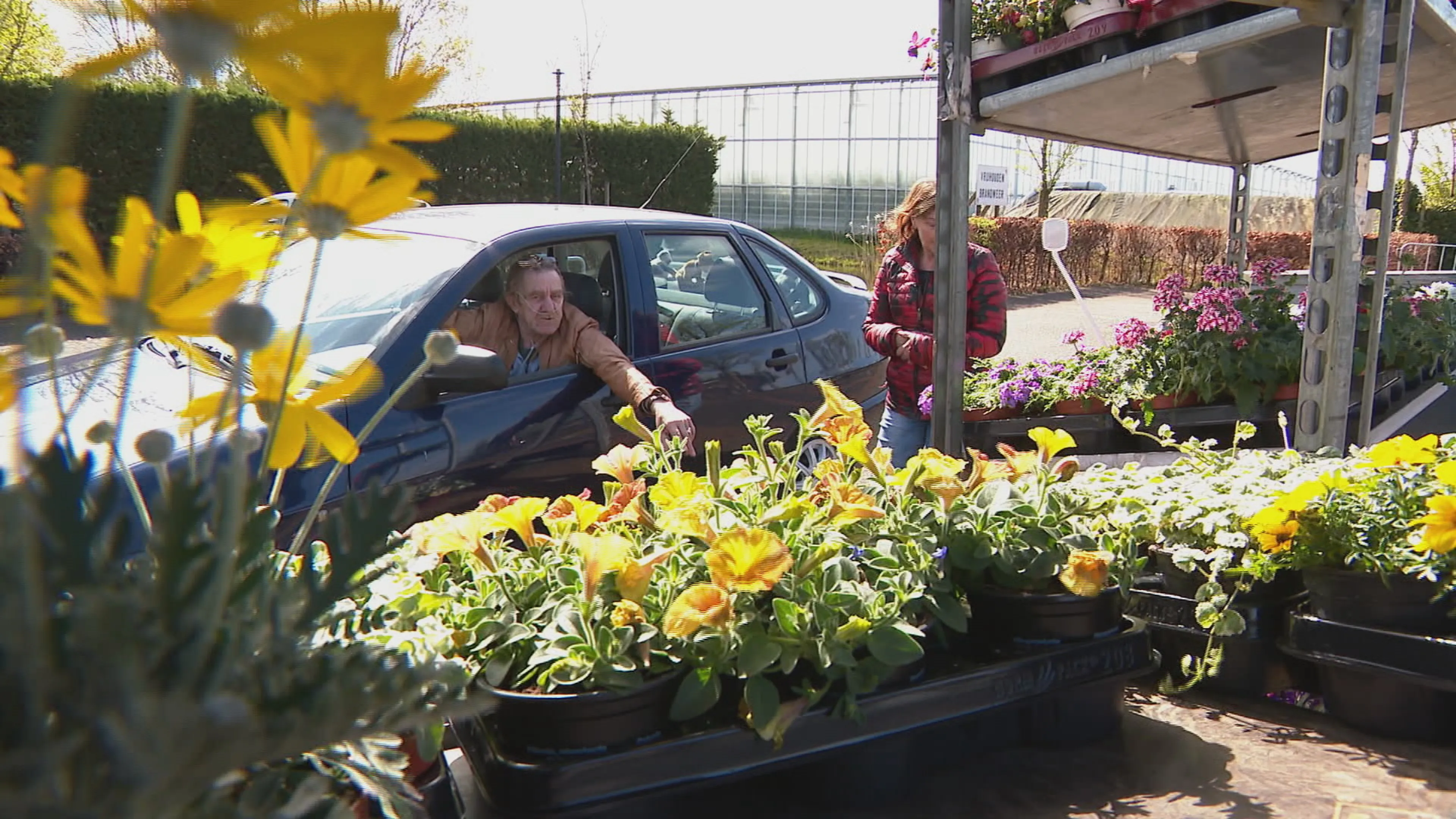 Wil je het tuincentrum vermijden tijdens corona? Ga door de drive-in voor planten