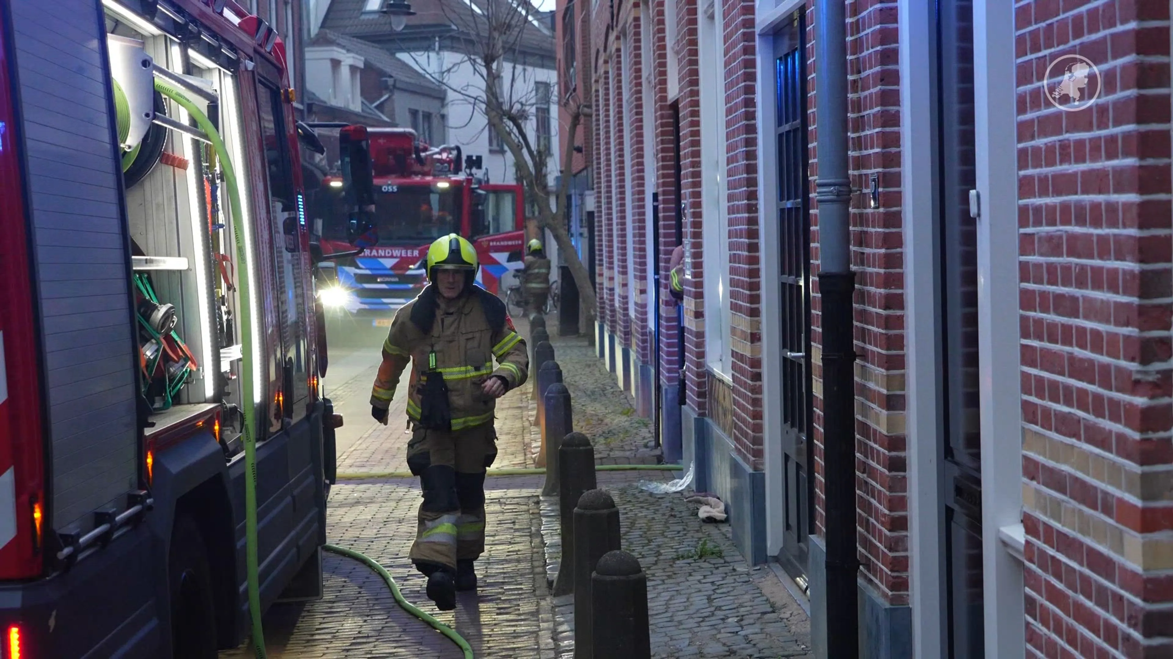Kat overleden bij brand in appartement in Oss