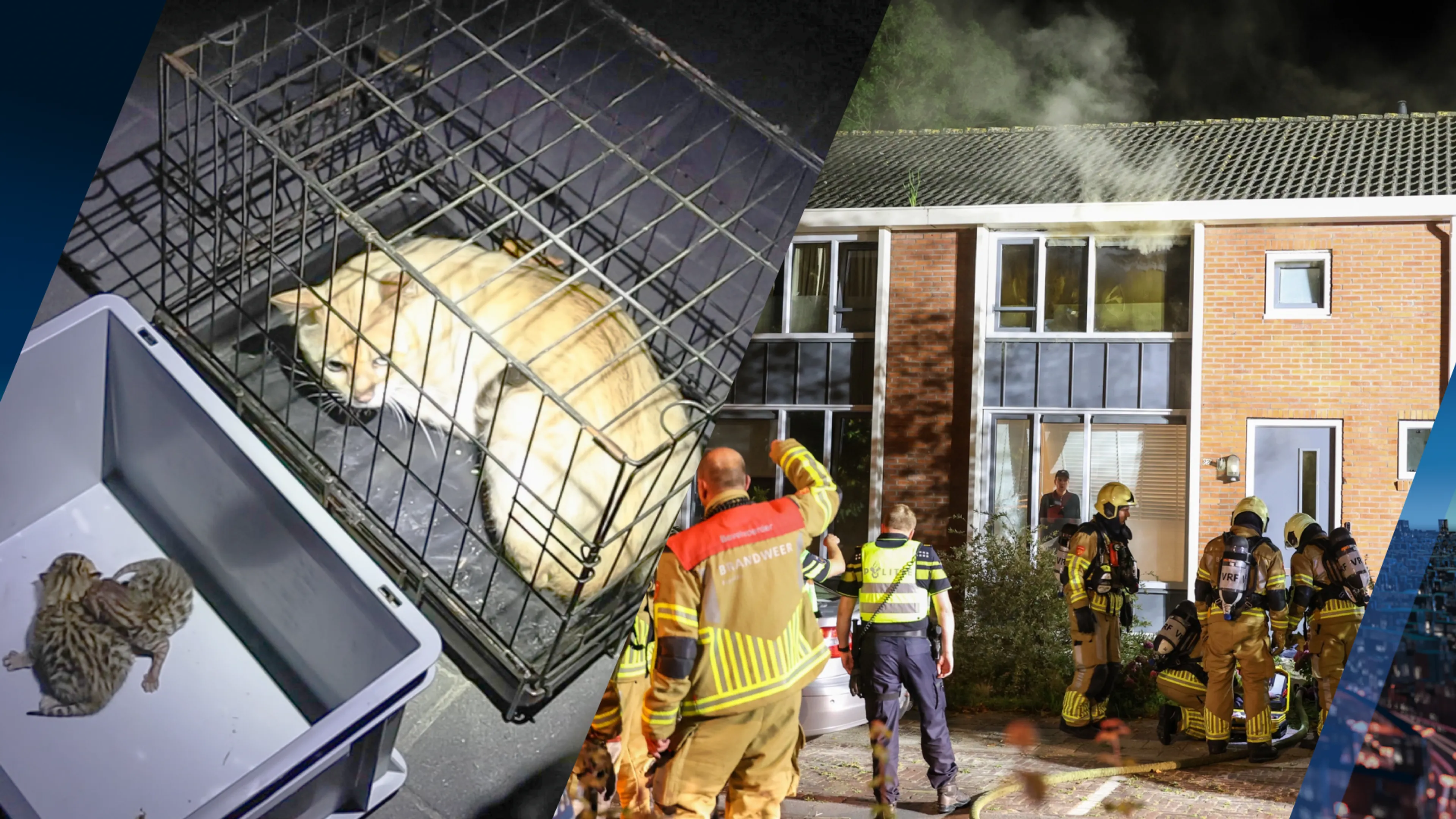 Verwarde man sticht brand in eigen woning: meerdere katten dood