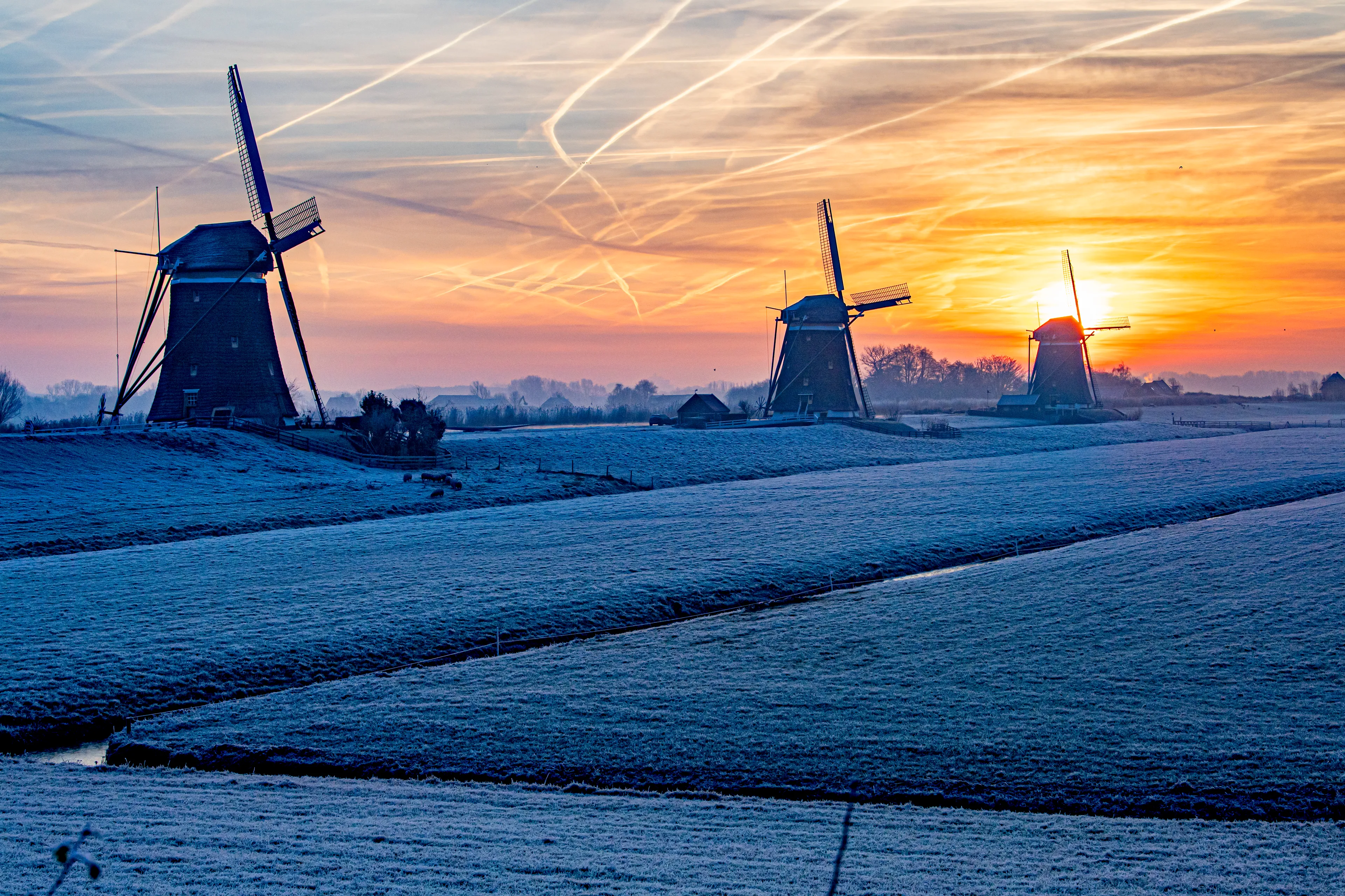 Eerst mist, maar daarna schijnt de zon volop: 'Prachtig winterweer'