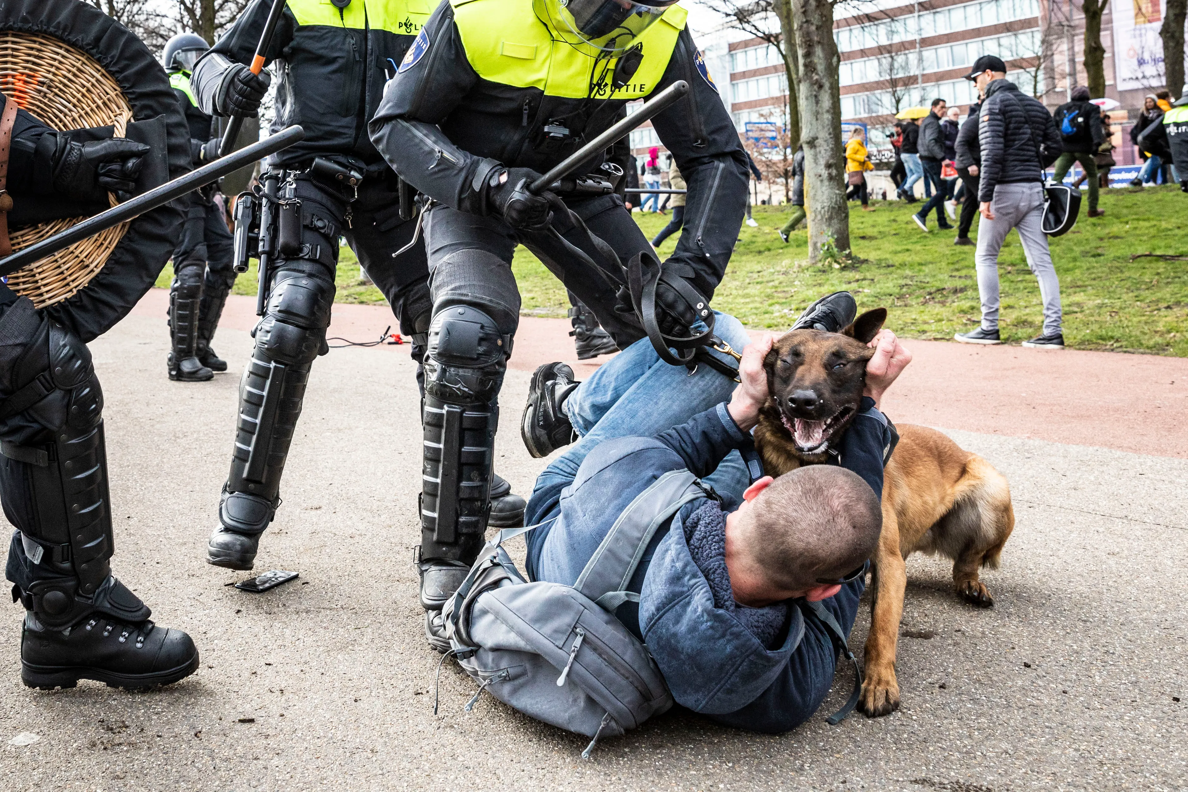 Werkstraf van 150 uur voor schoppen politiehond op Malieveld