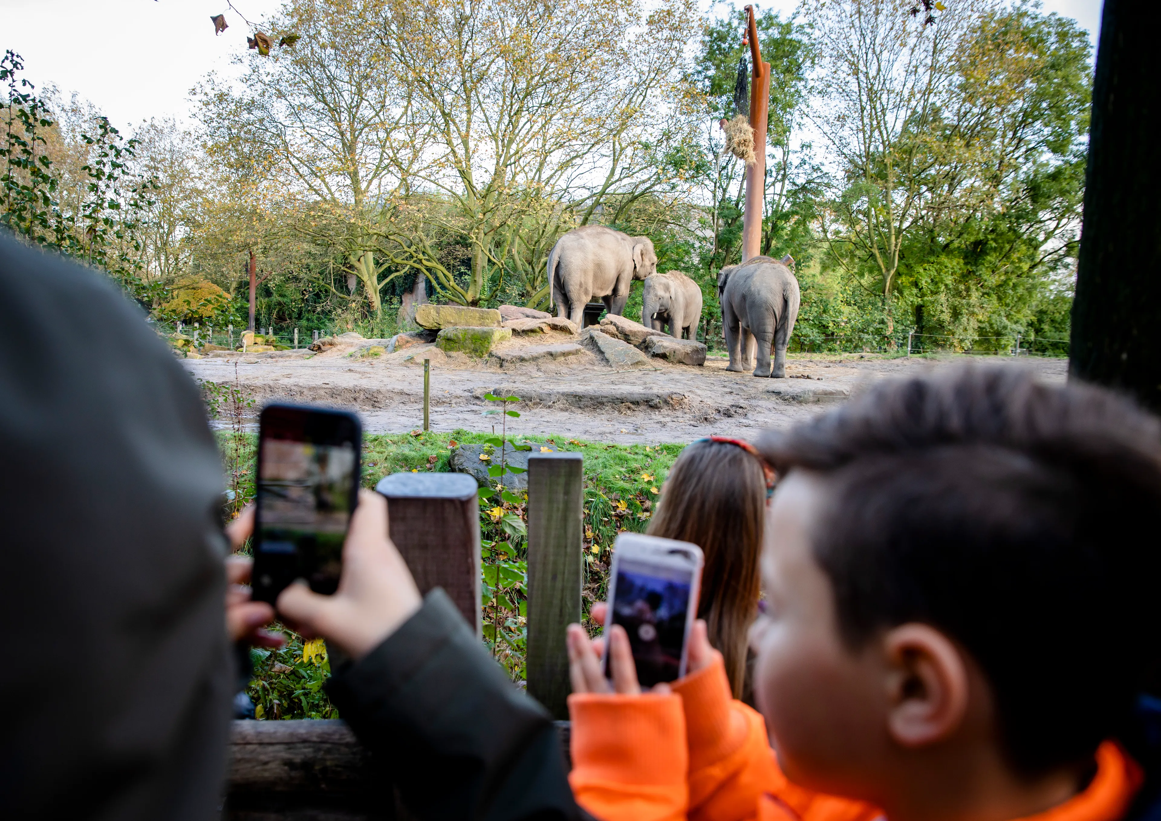 Dierentuinen gewoon open, binnenverblijven gesloten
