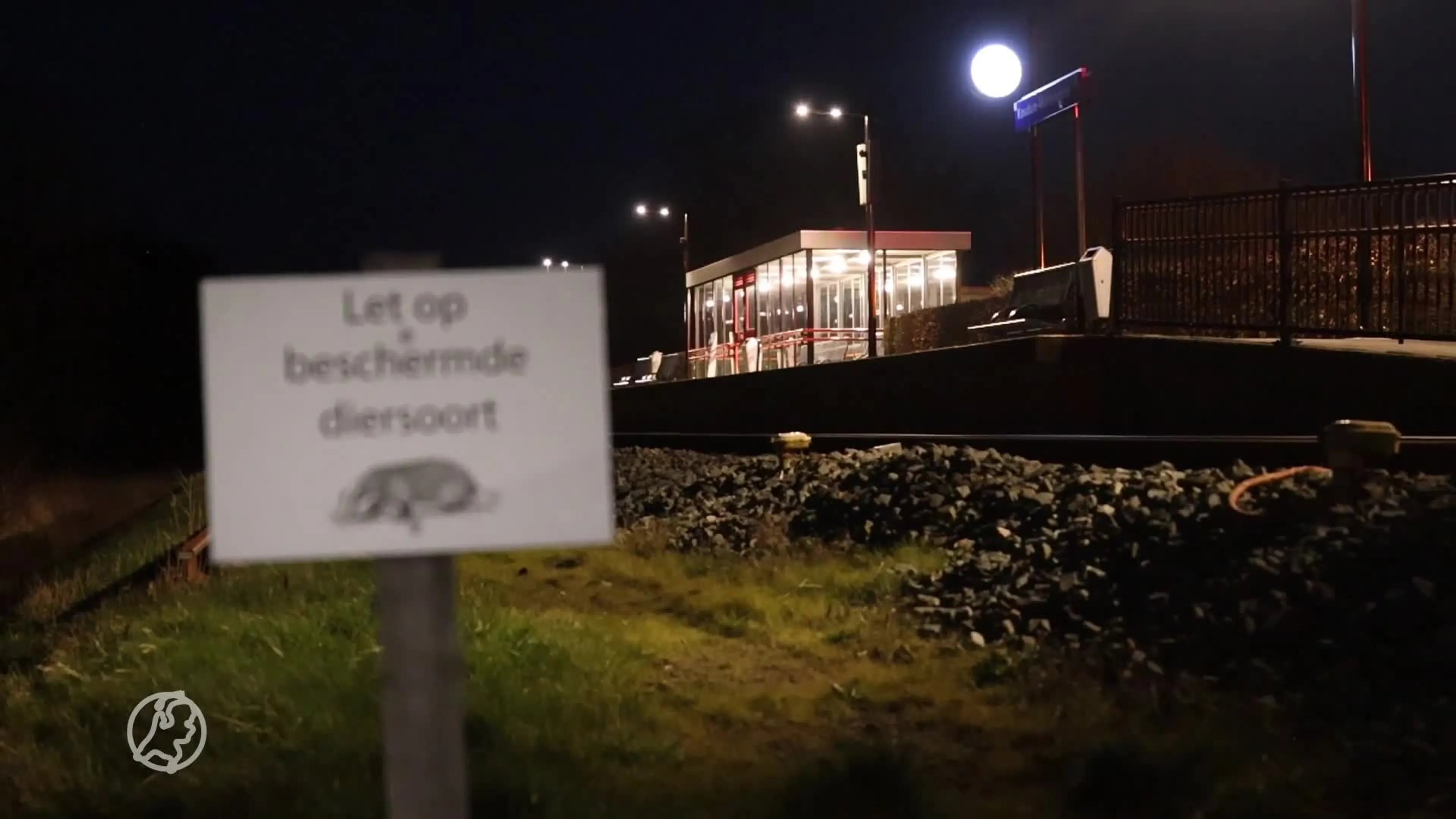 ProRail mag dassen bij spoor Molkwerum verplaatsen