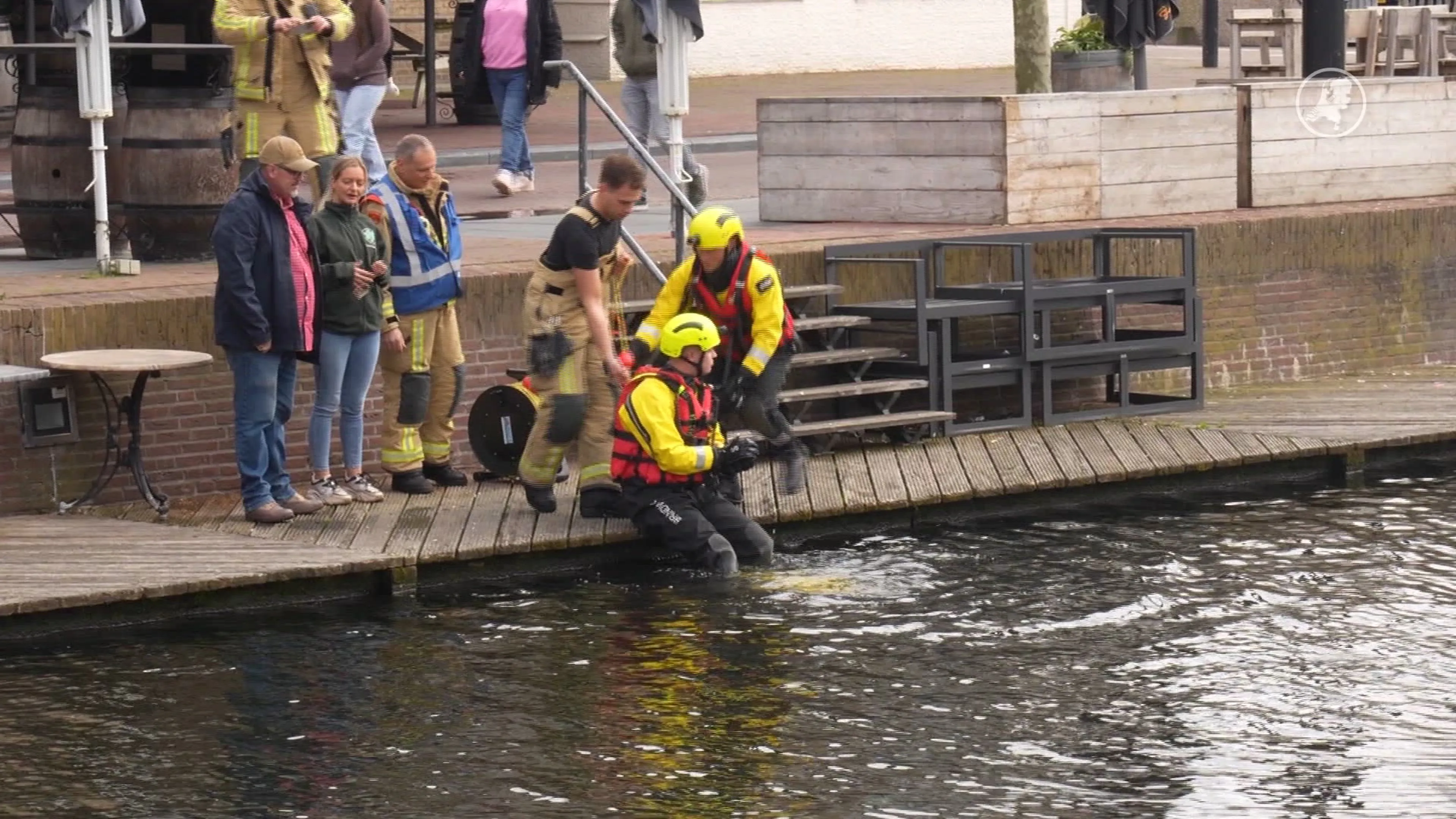 Klein waterhoentje valt in kanaal, omstanders slaan alarm