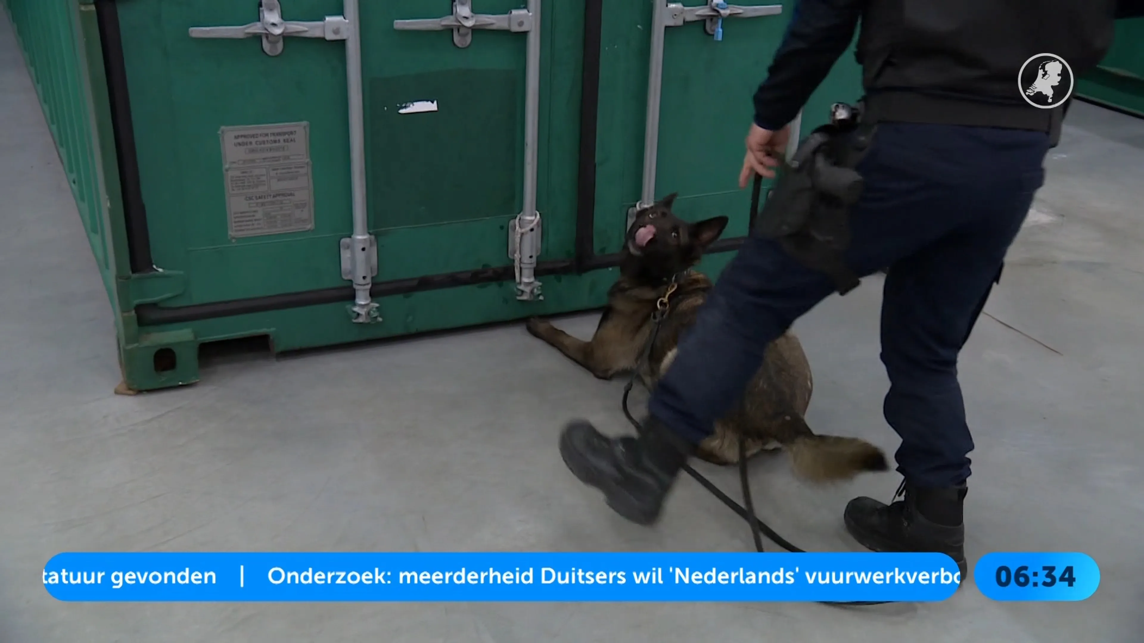 Recordaantal uithalers opgepakt in Antwerpen, helft uit Nederland