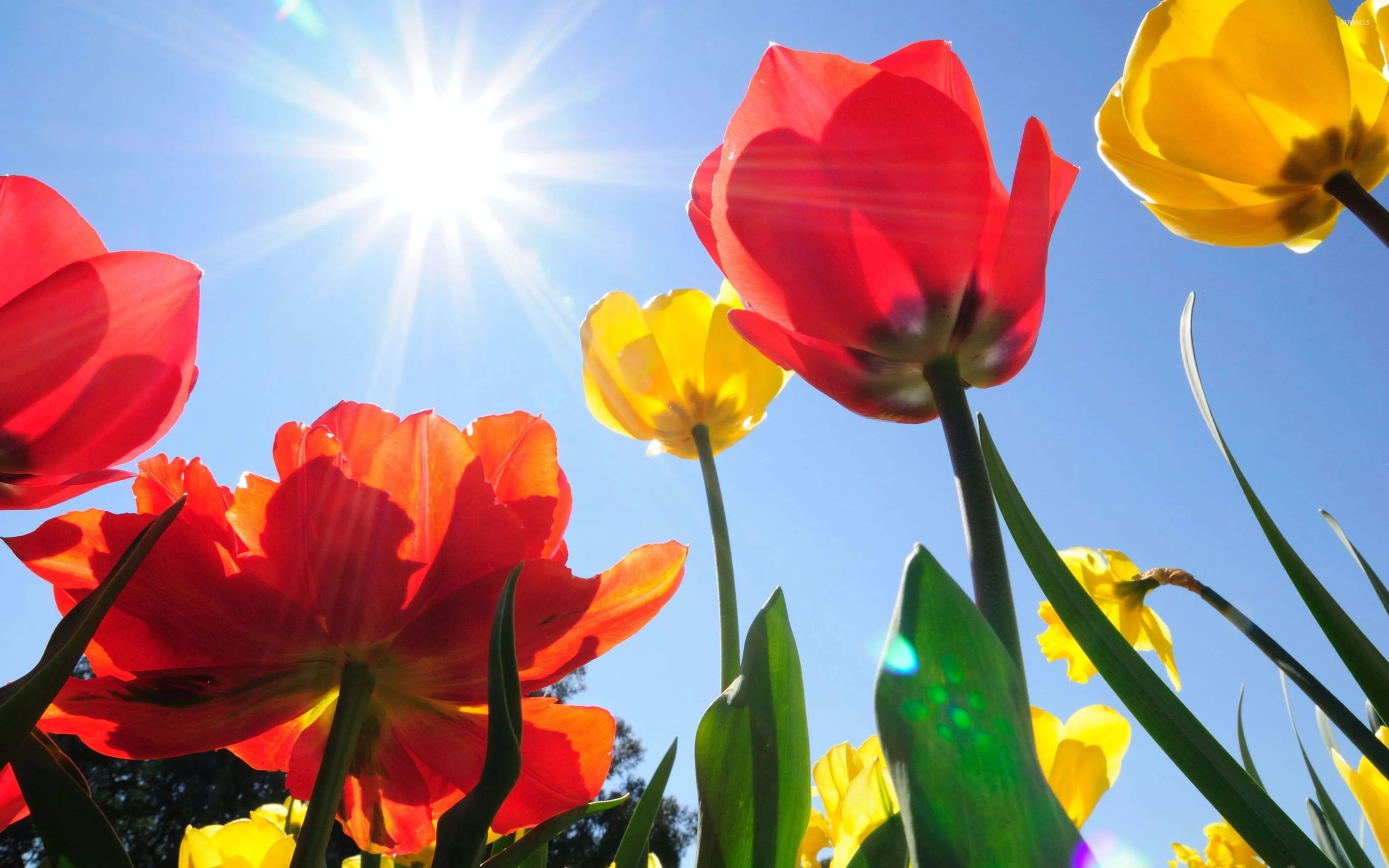 Recordzonnig april was kurkdroog en bovengemiddeld warm
