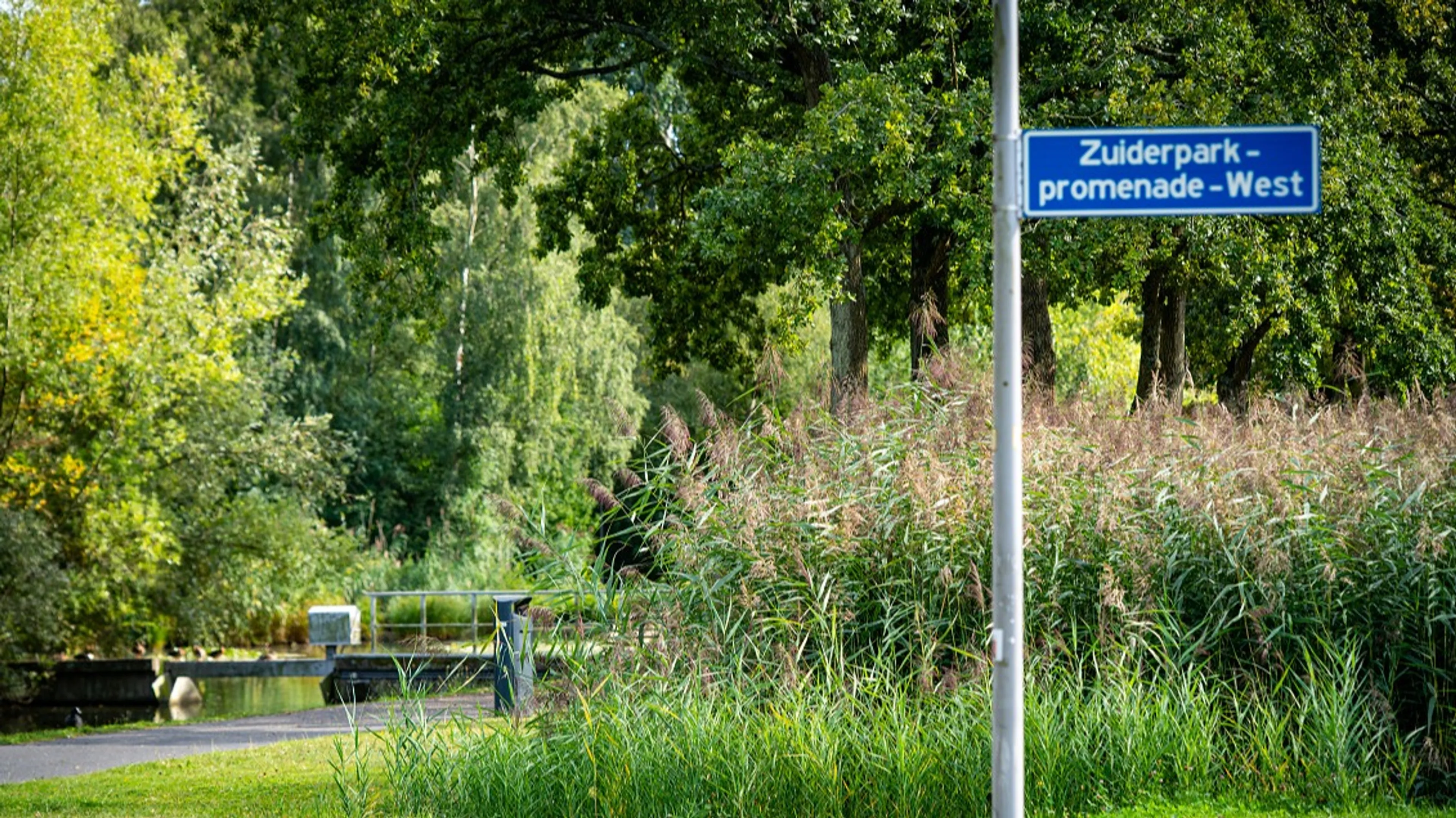 Meisje slachtoffer van zedenmisdrijf in bosjes Zuiderpark Rotterdam