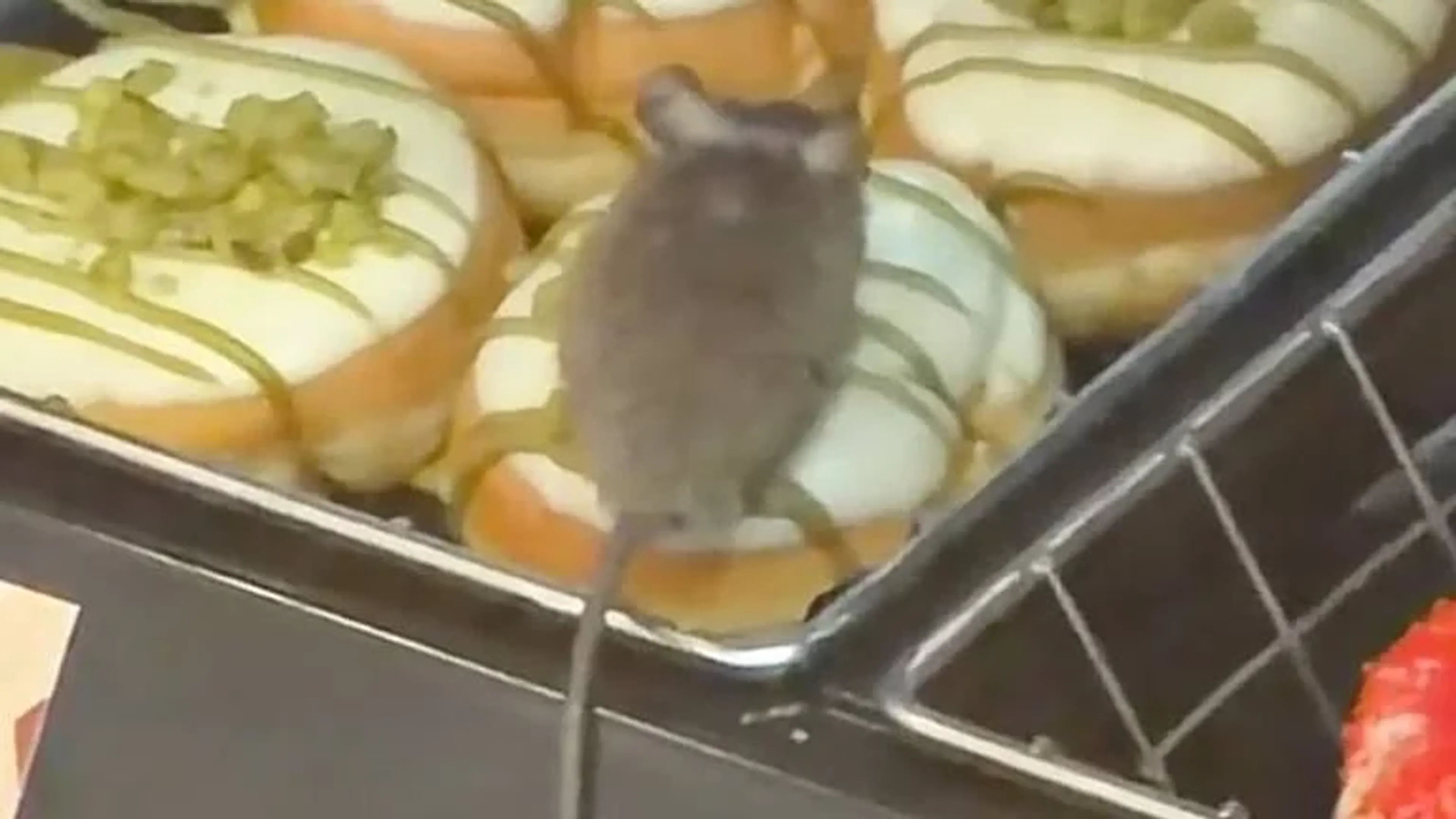 Muis tussen donuts in Eindhoven, video gaat wereldwijd viraal
