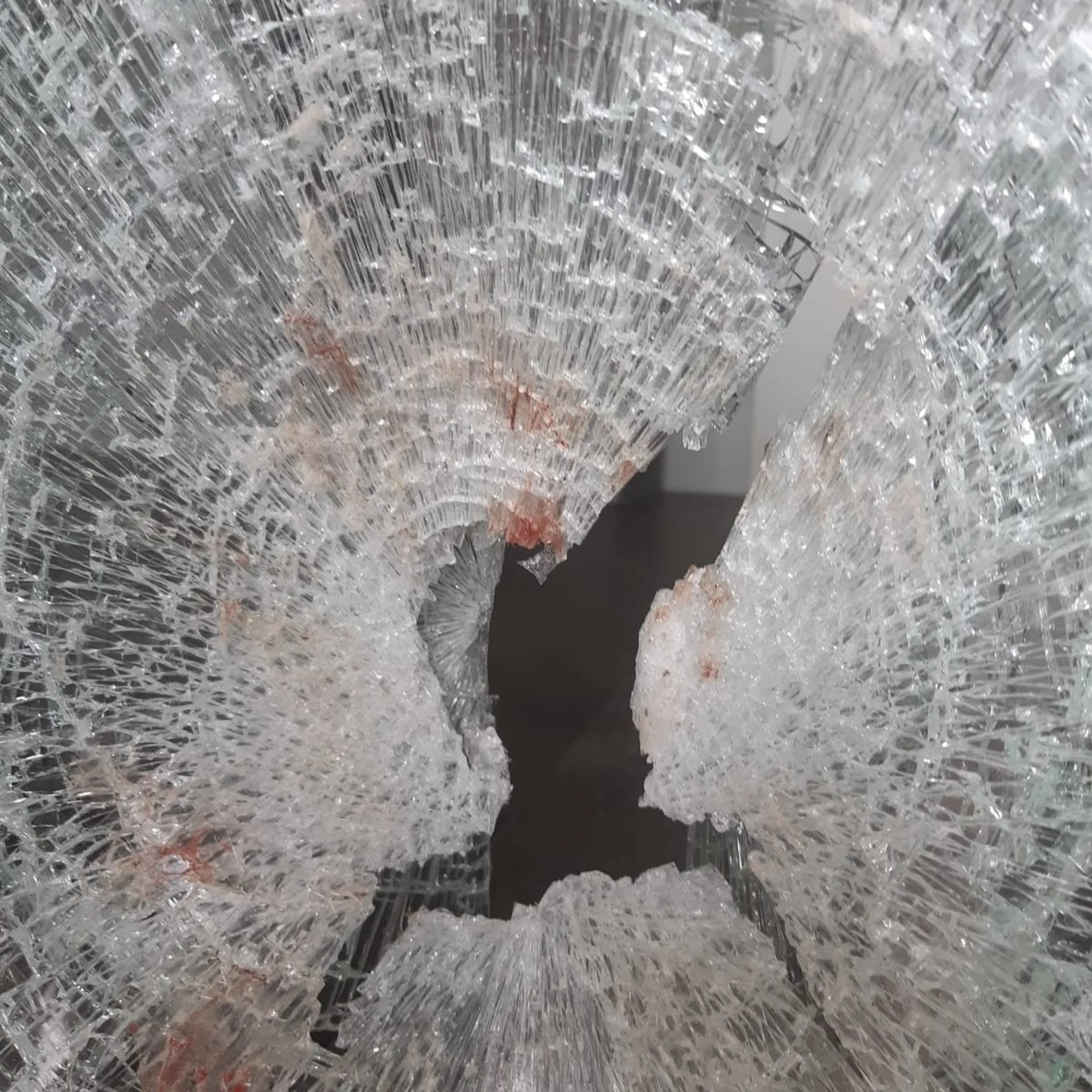 Wollige inbreker onder invloed verbaast bewoners en politie in Nieuw-Beijerland