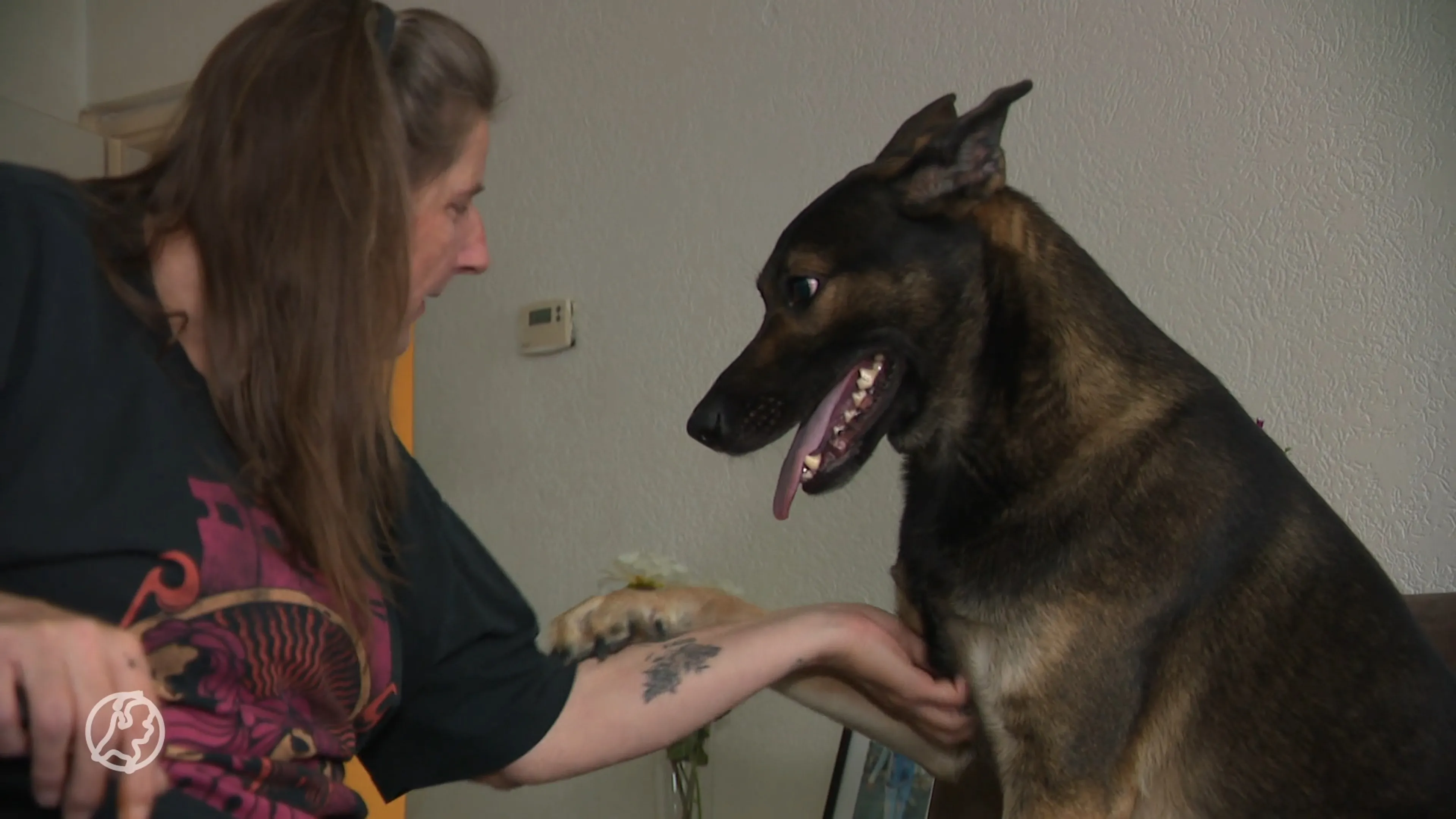 Rineke mishandeld toen ze haar hond uitliet in Dordrecht