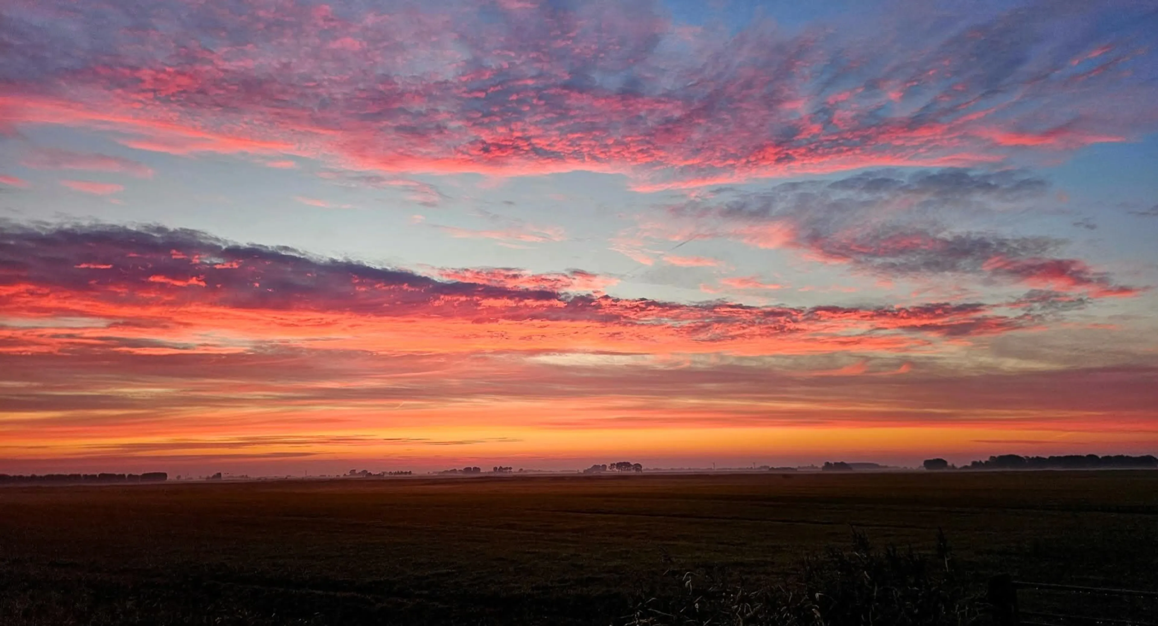 Eerste weekend van november verloopt zacht, maar wel wisselvallig