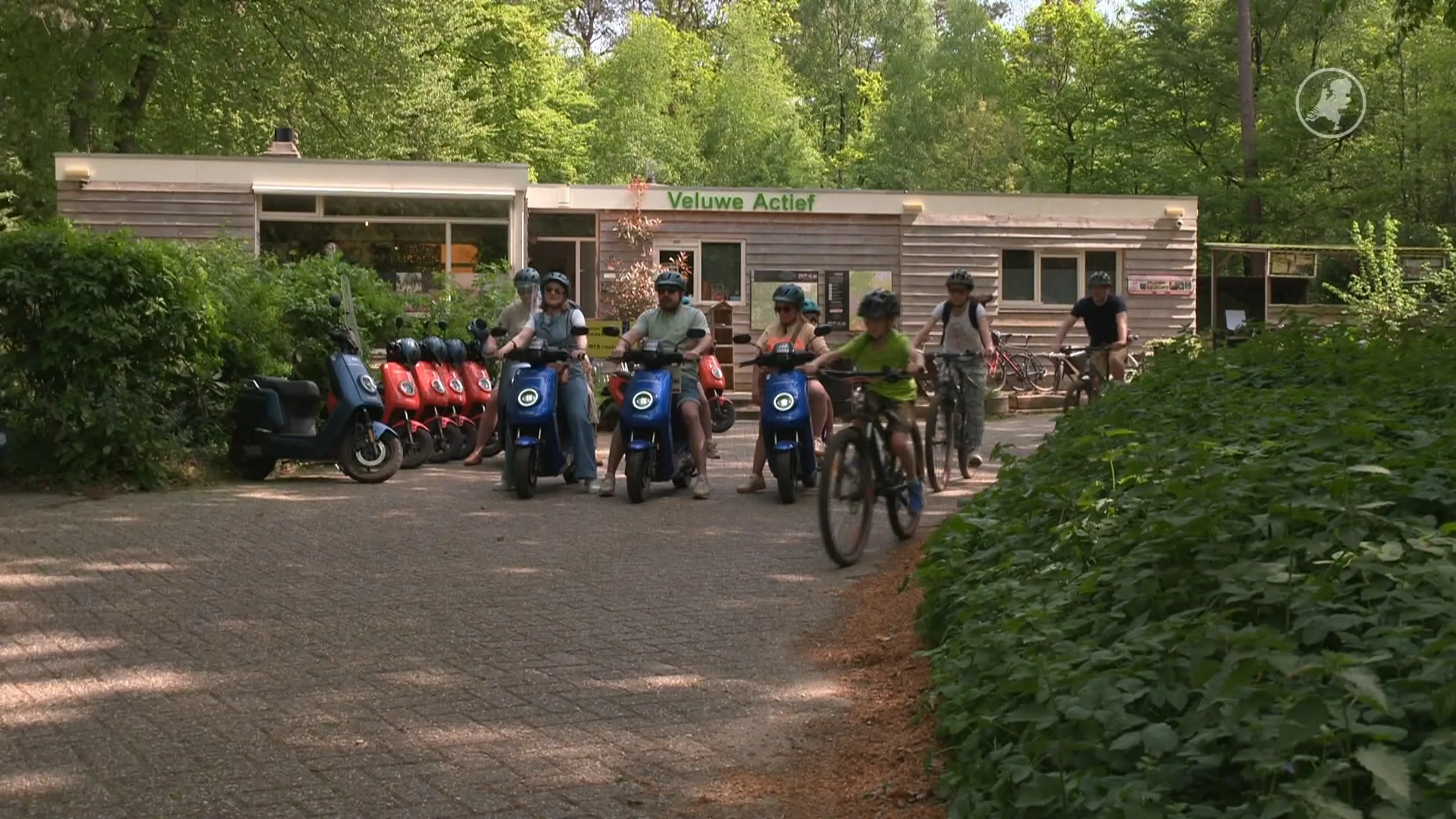 Drukte op de Veluwe loopt de spuigaten uit: natuur staat onder druk