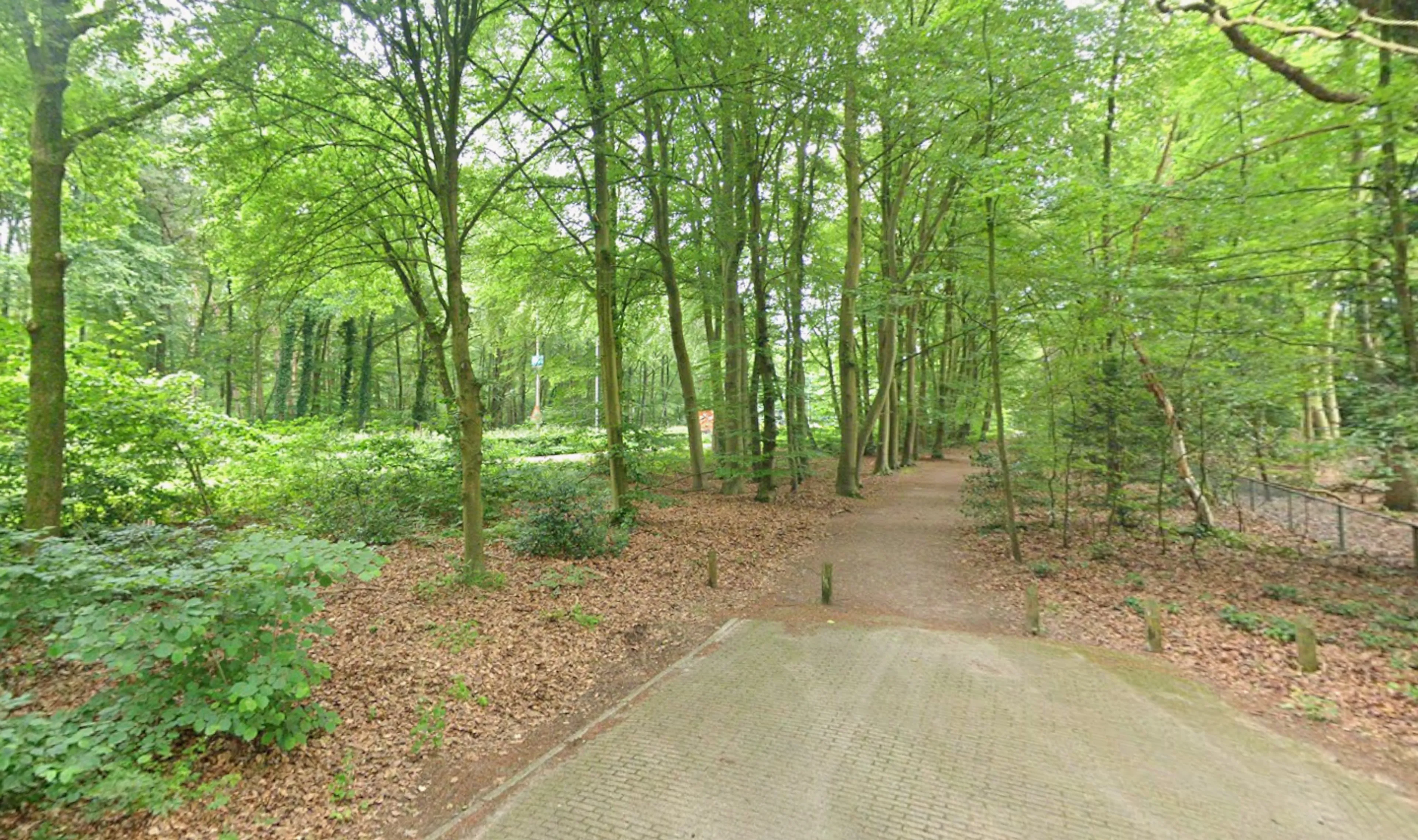 Zedenincident op bospad in Ermelo, politie zoekt getuigen