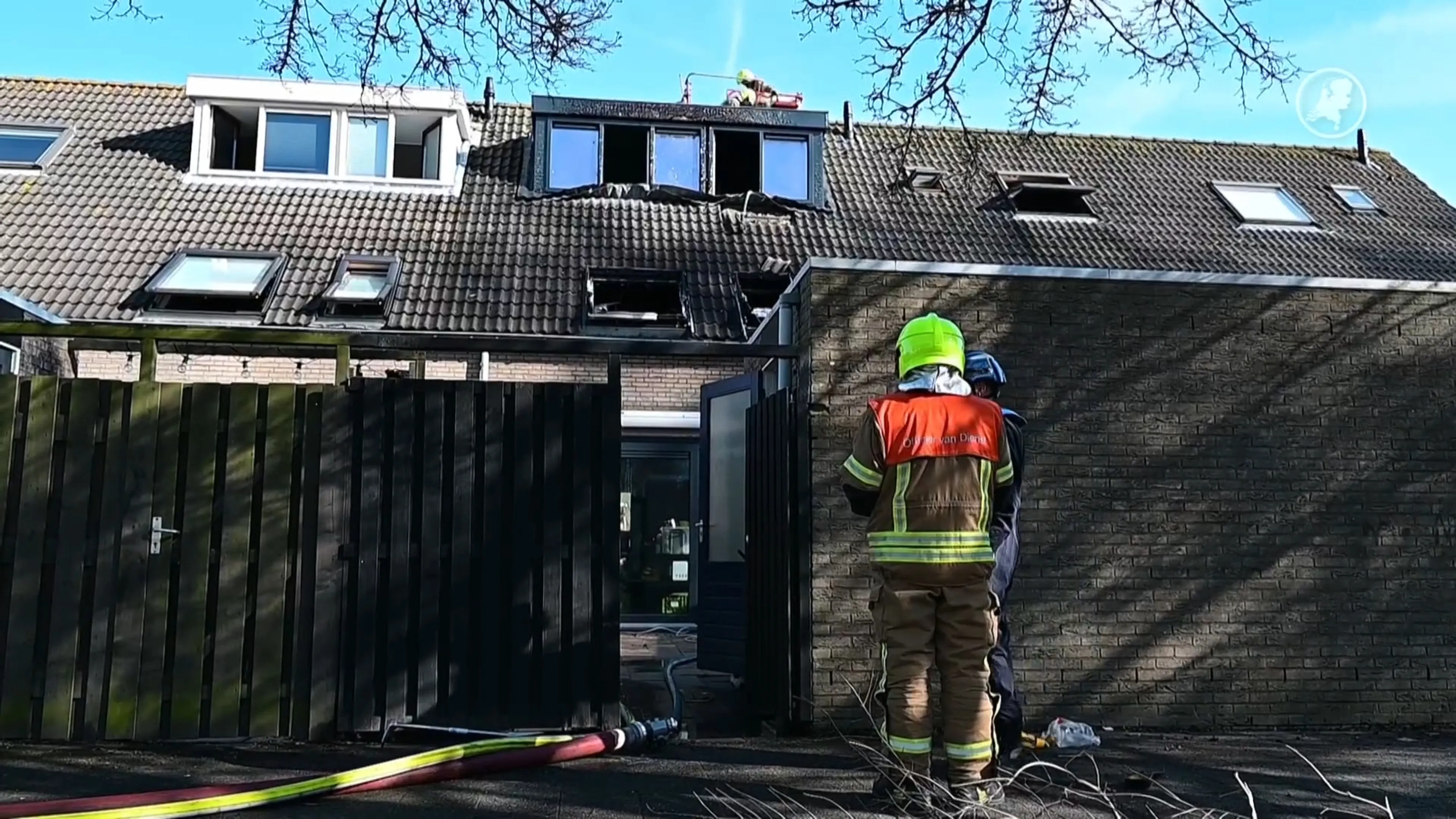 Kat overleden bij brand in woning Hoogvliet, andere kat gered