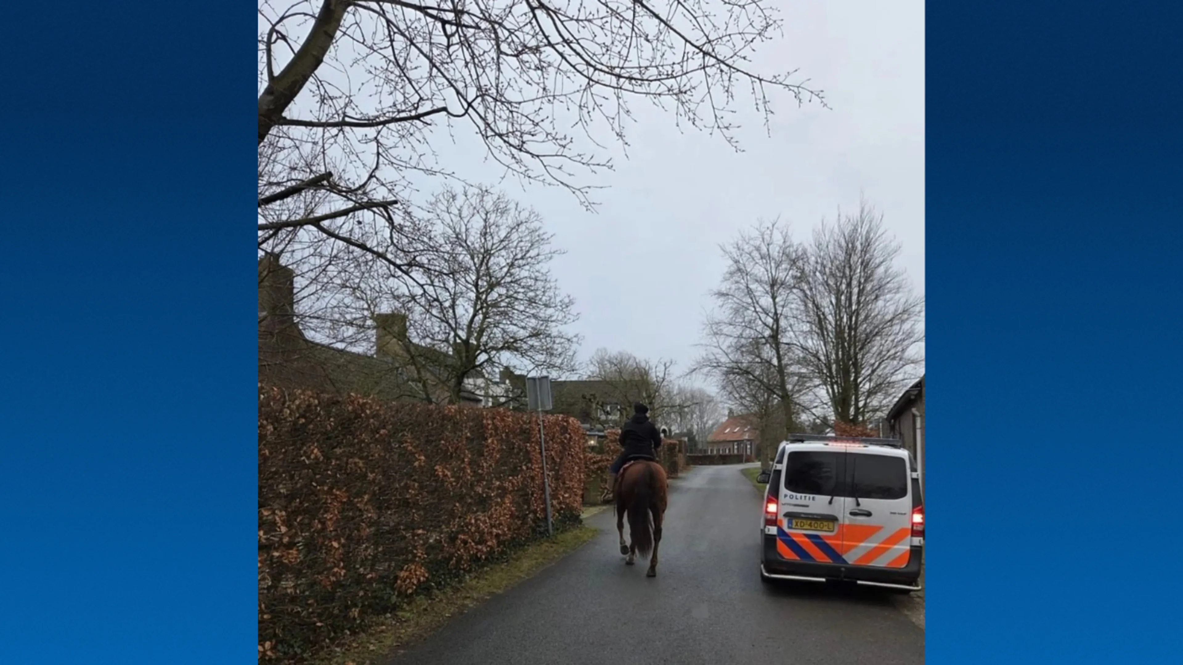 Politie start grote zoektocht na vondst gezadeld paard zonder ruiter