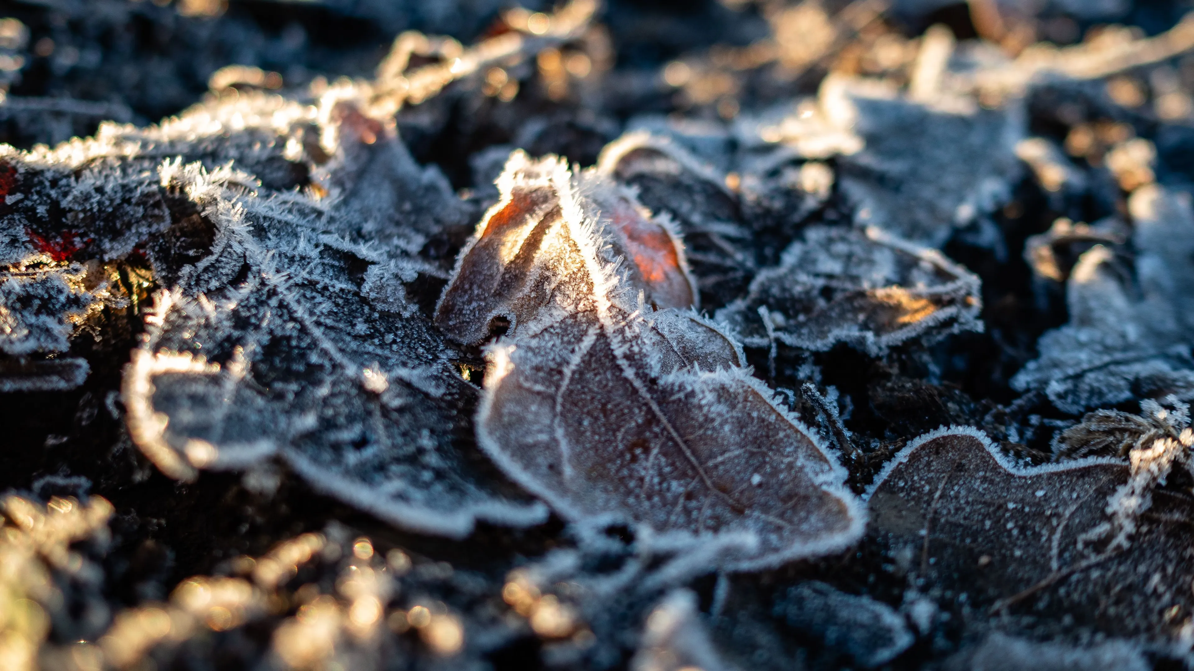 Met het verzetten van de klok verandert ook het weer: wintertijd begint kouder