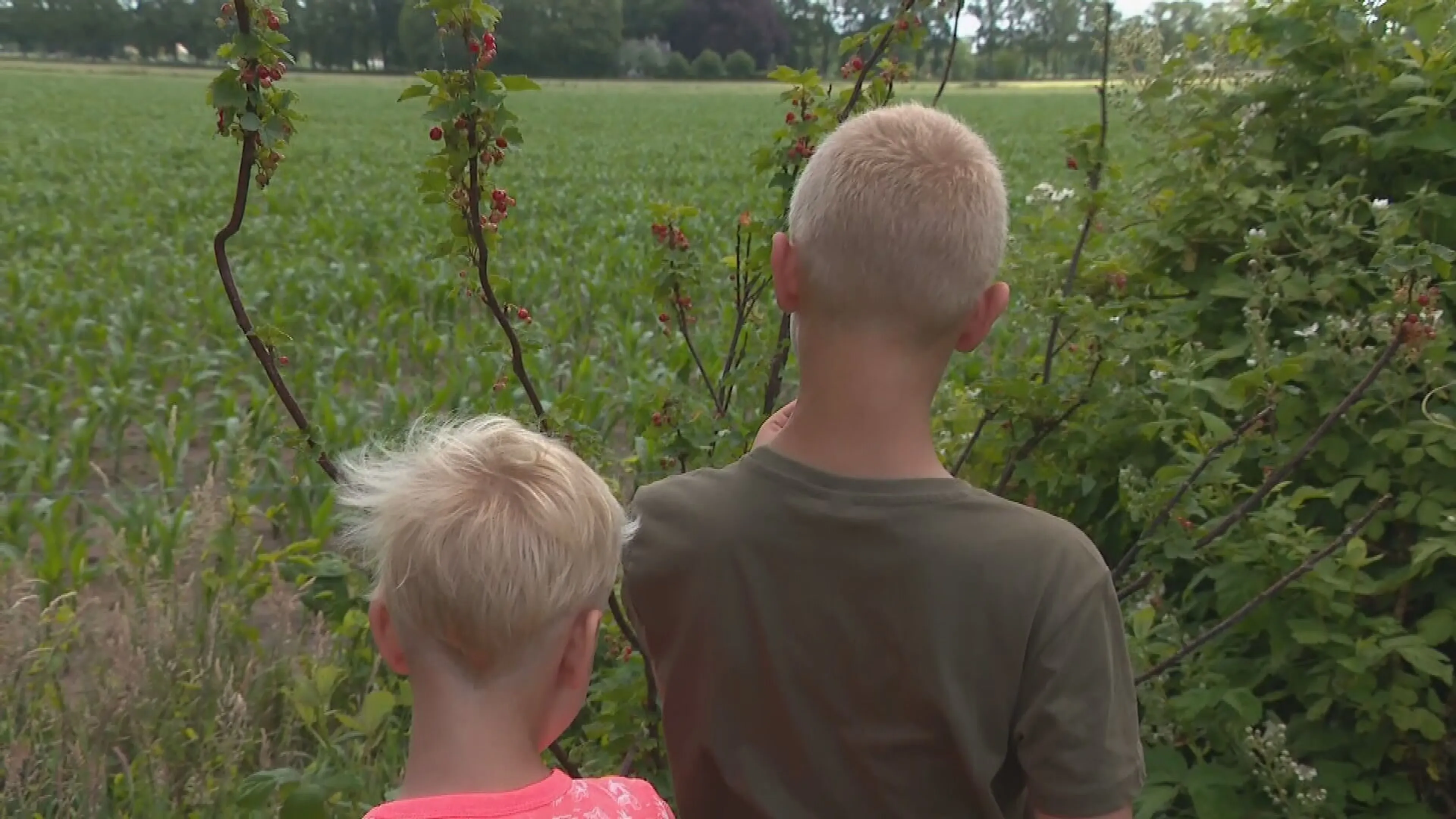 Worteltuinen geven ouders en hun uit huis geplaatste kinderen ruimte