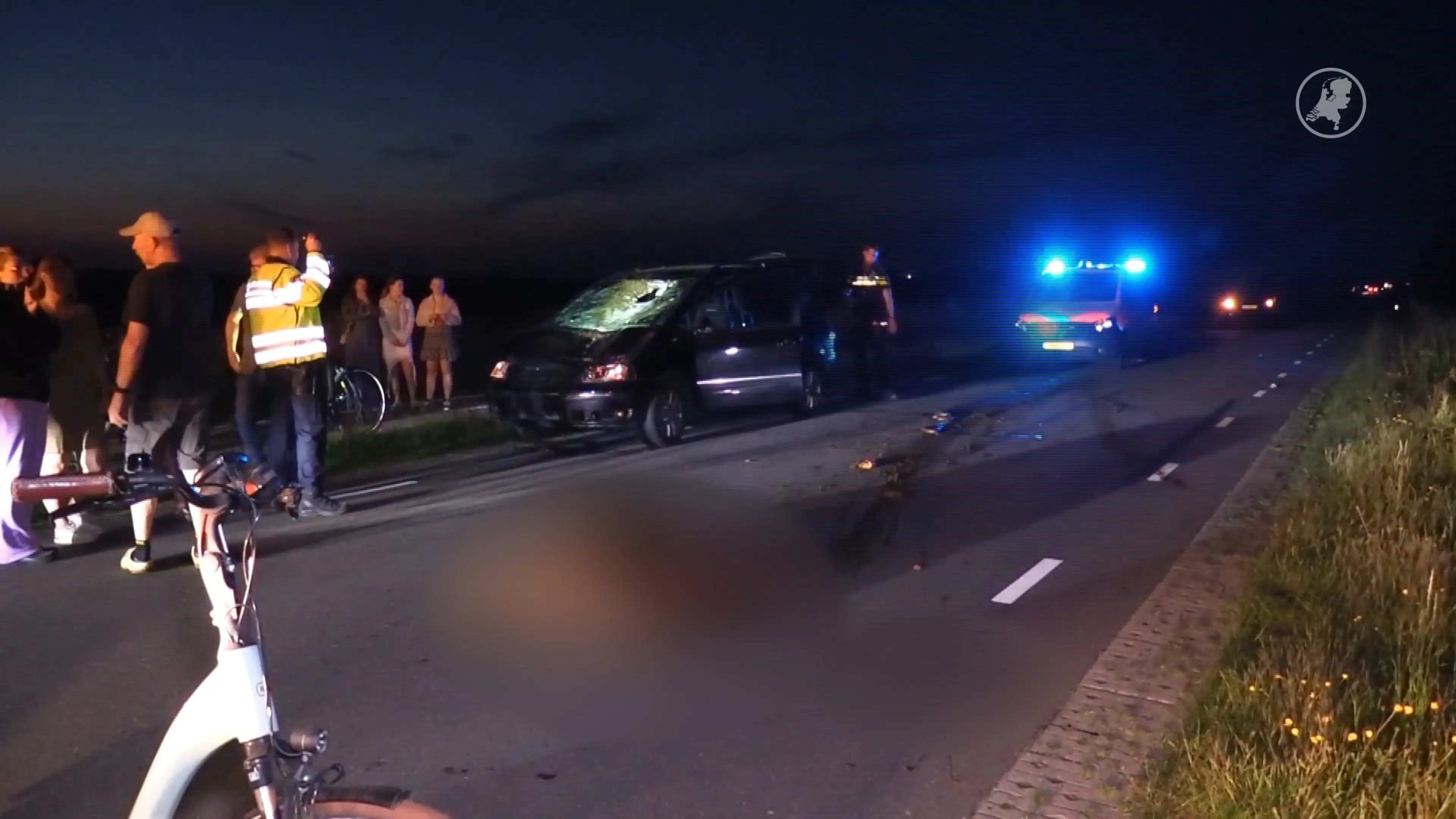Paard twee keer aangereden na ontsnapping in De Cocksdorp, tweede klap fataal