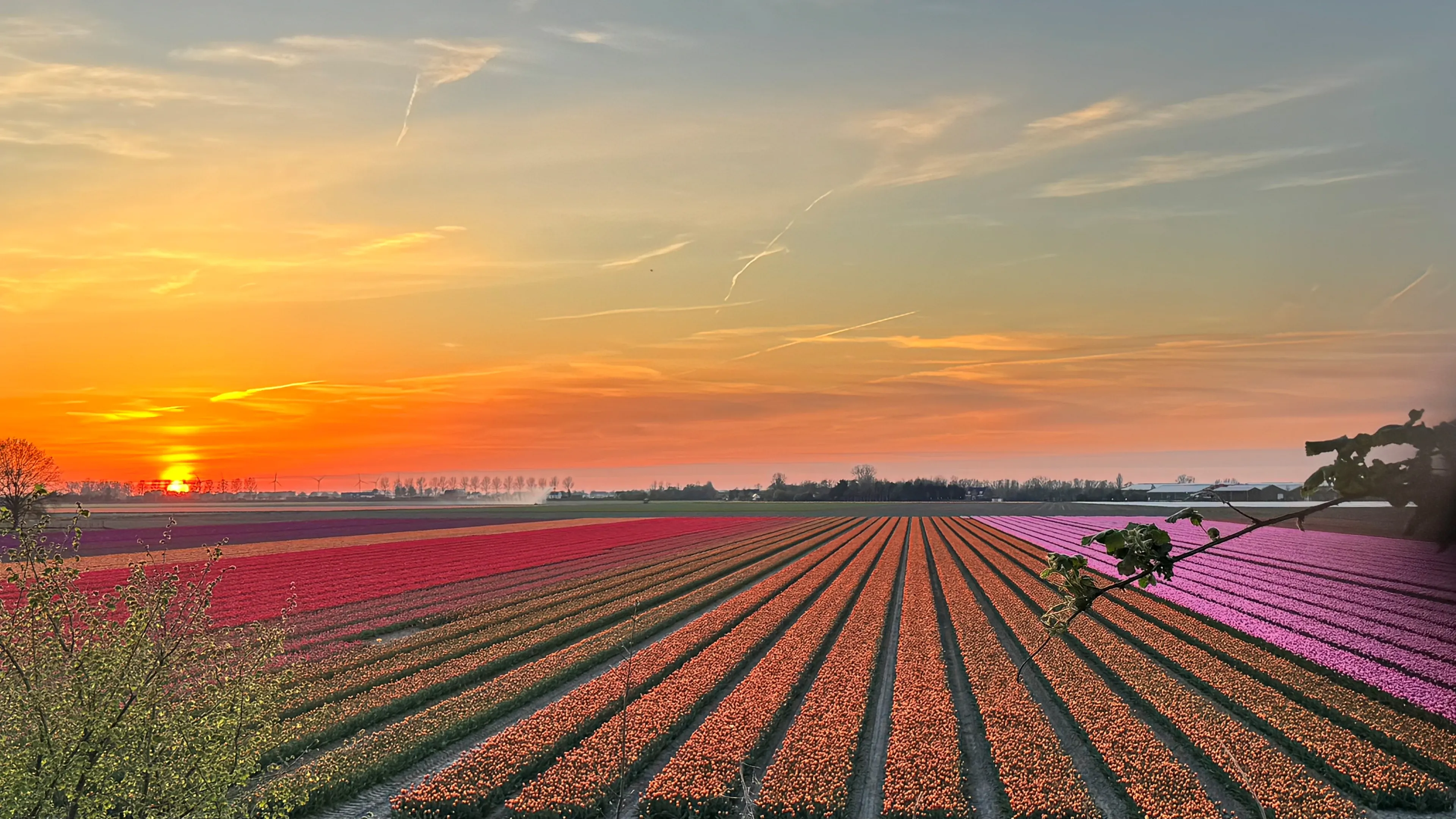 Weer slaat om: van zonnig en warm naar wisselvallig en buien